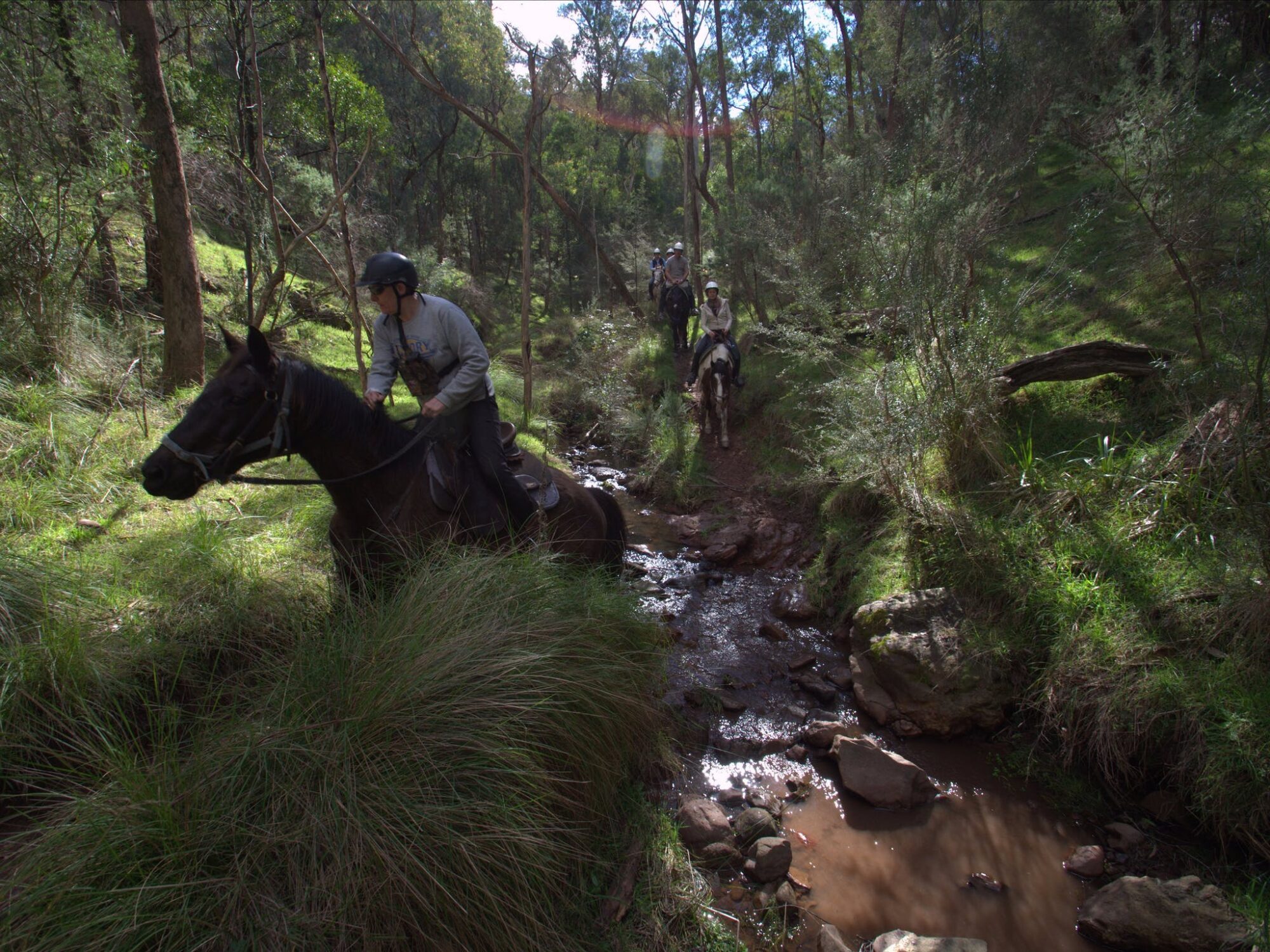 Following bridle trails on horseback