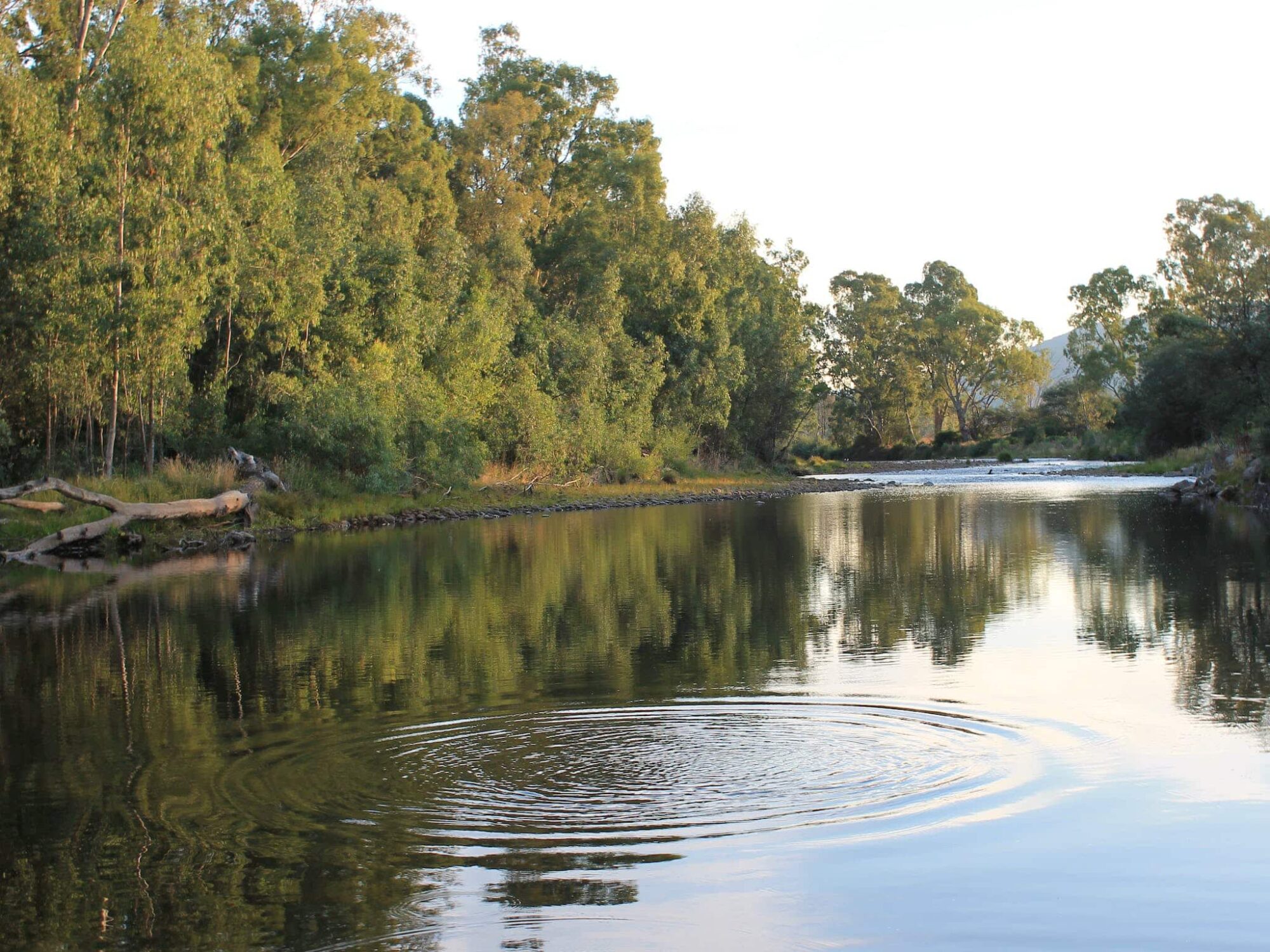 King River at Gentle Annie