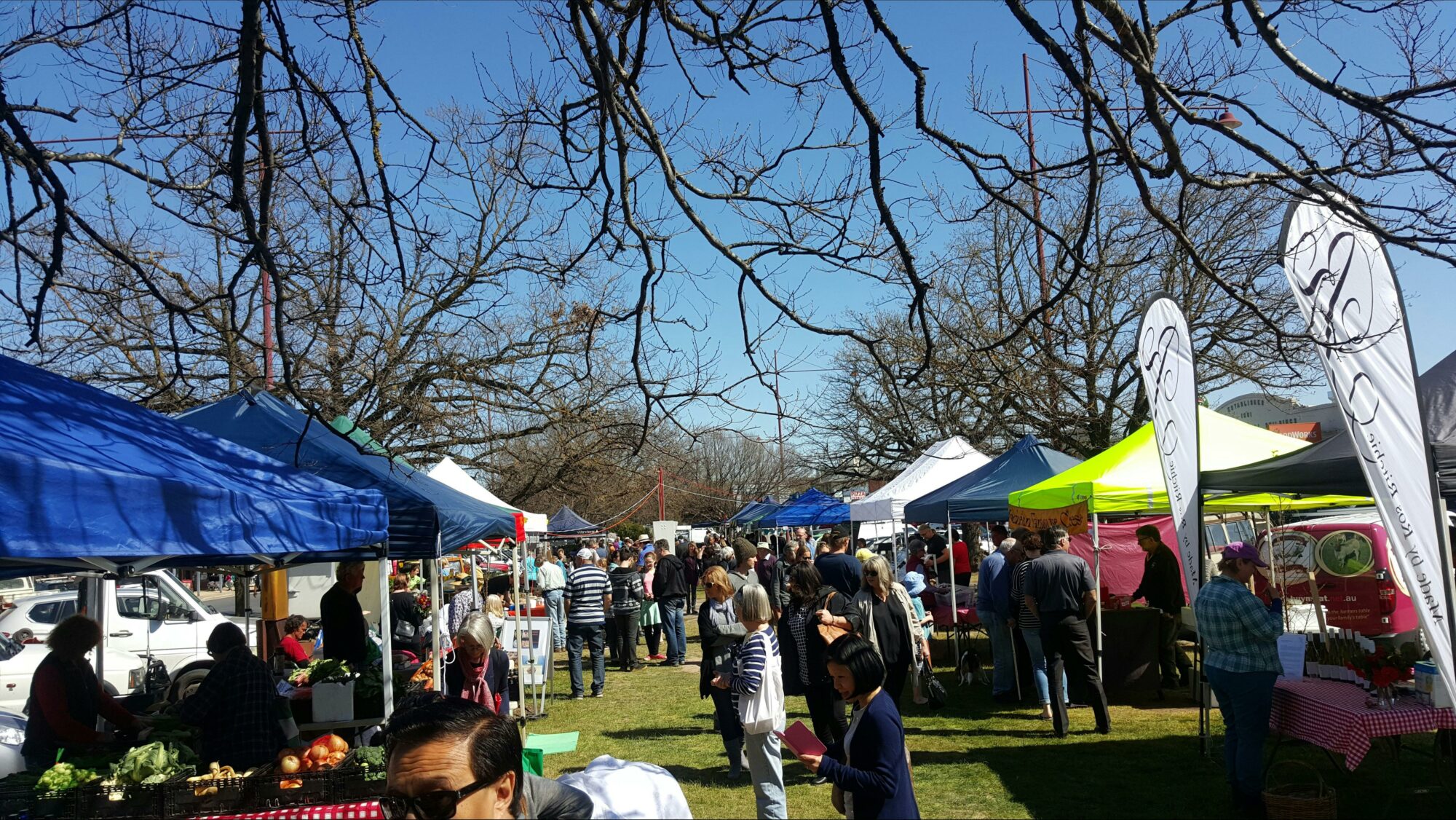 Mansfield Farmers Market
