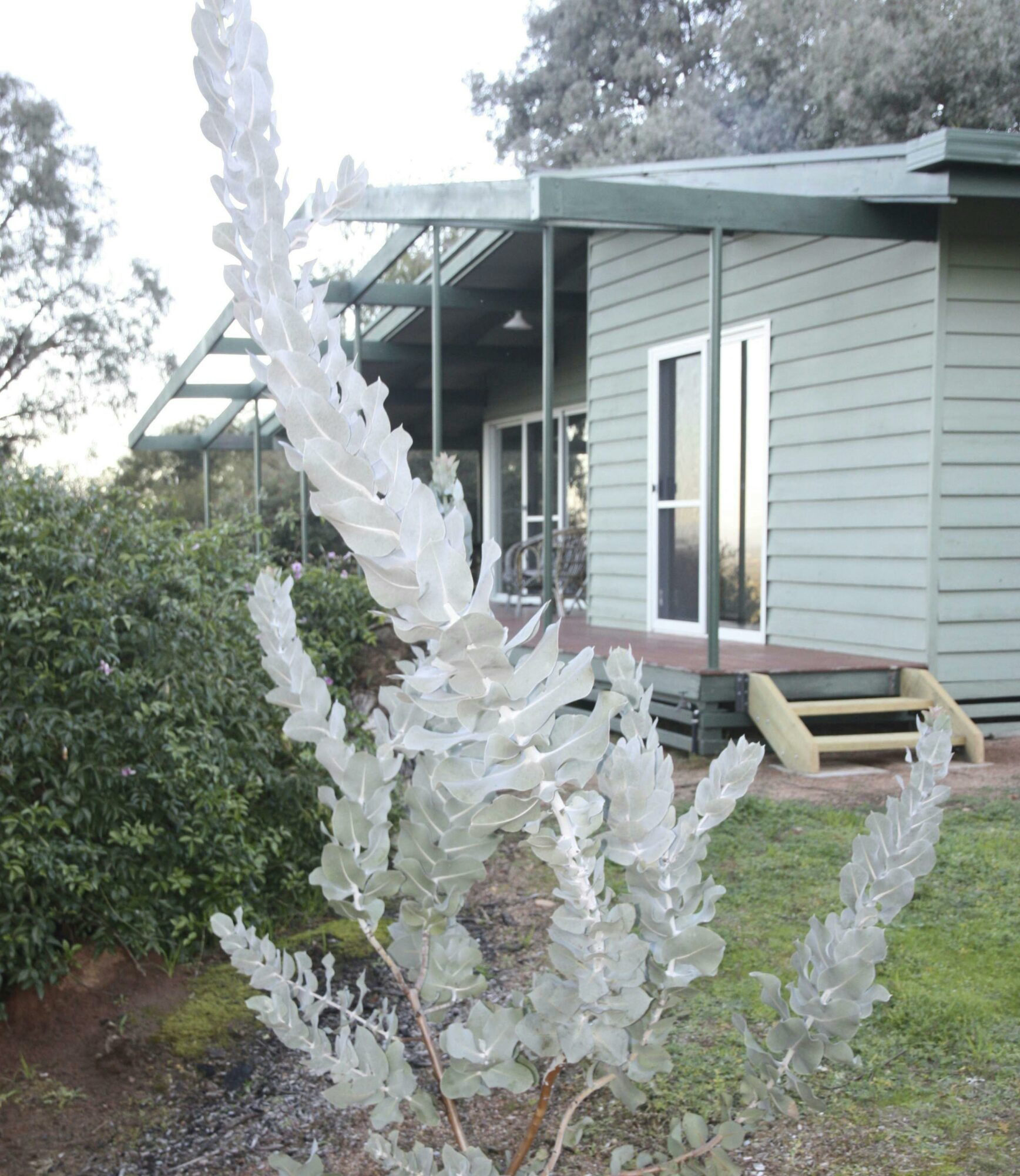 Kurringai Cottage