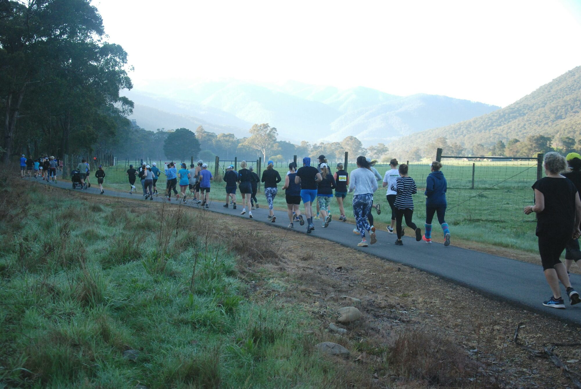 harrietville half