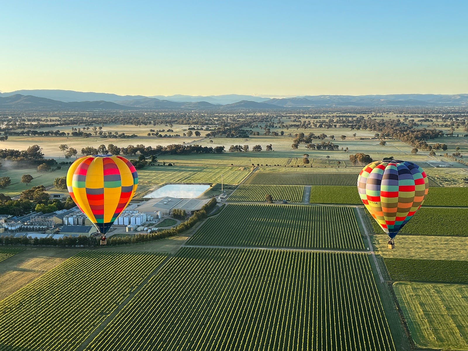 Balloons flying in the King Valley from Milawa