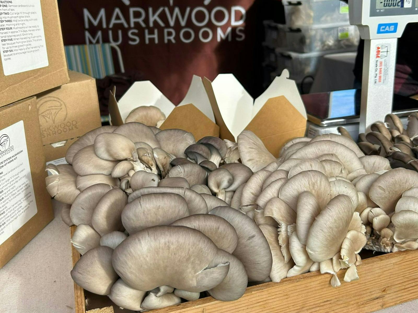 Locally grown mushrooms