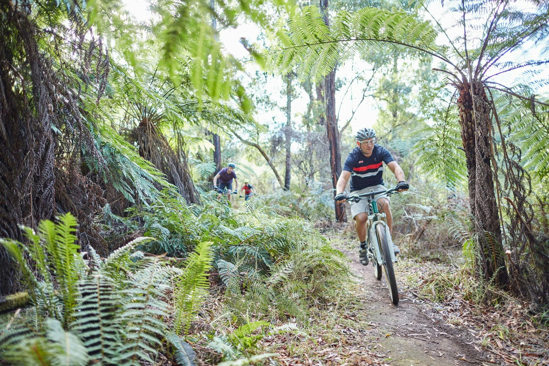 Buxton MTB