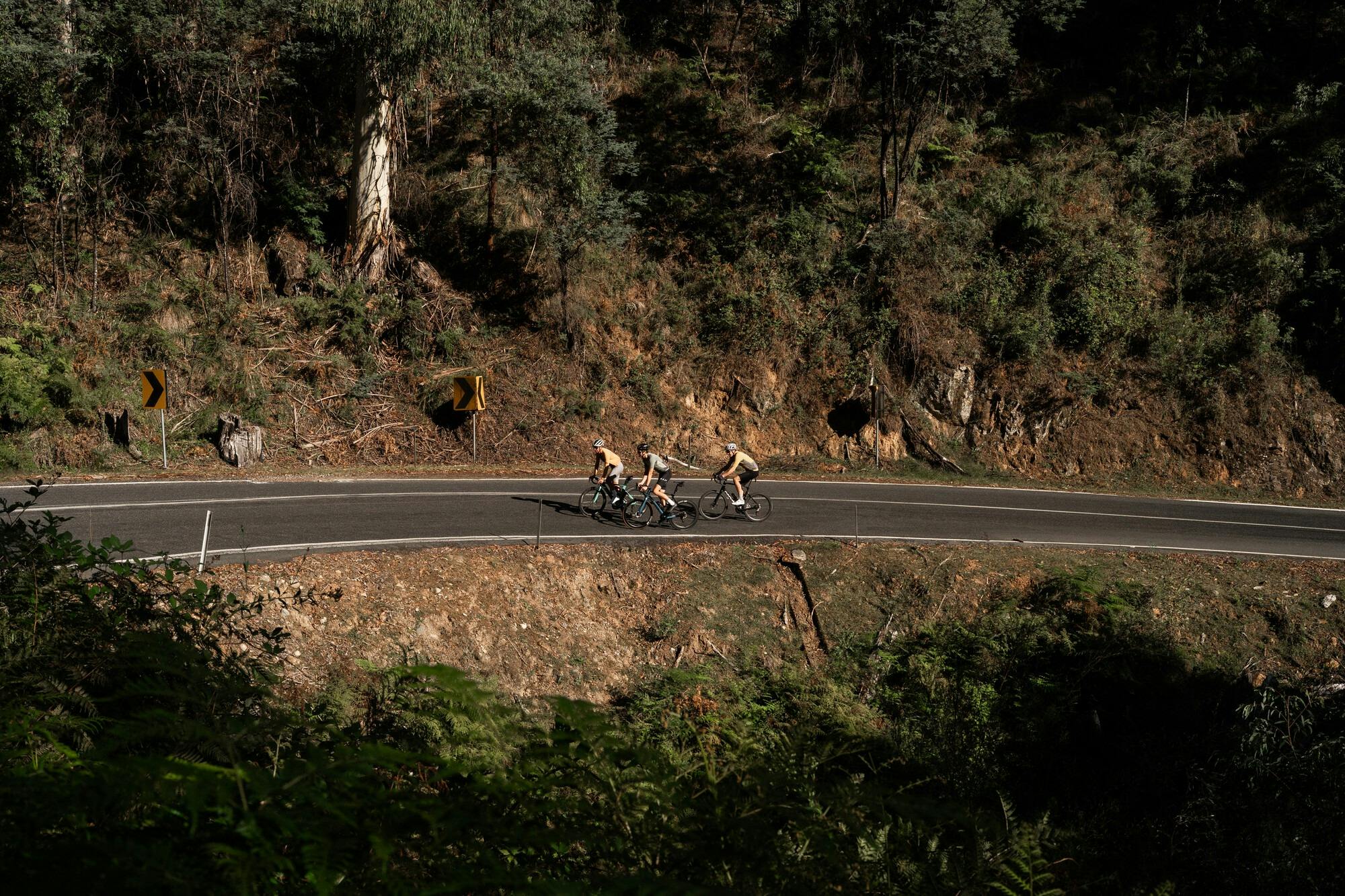 Three cyclists riding past native bushland on the Falls Creek 7 Peaks Challenge route