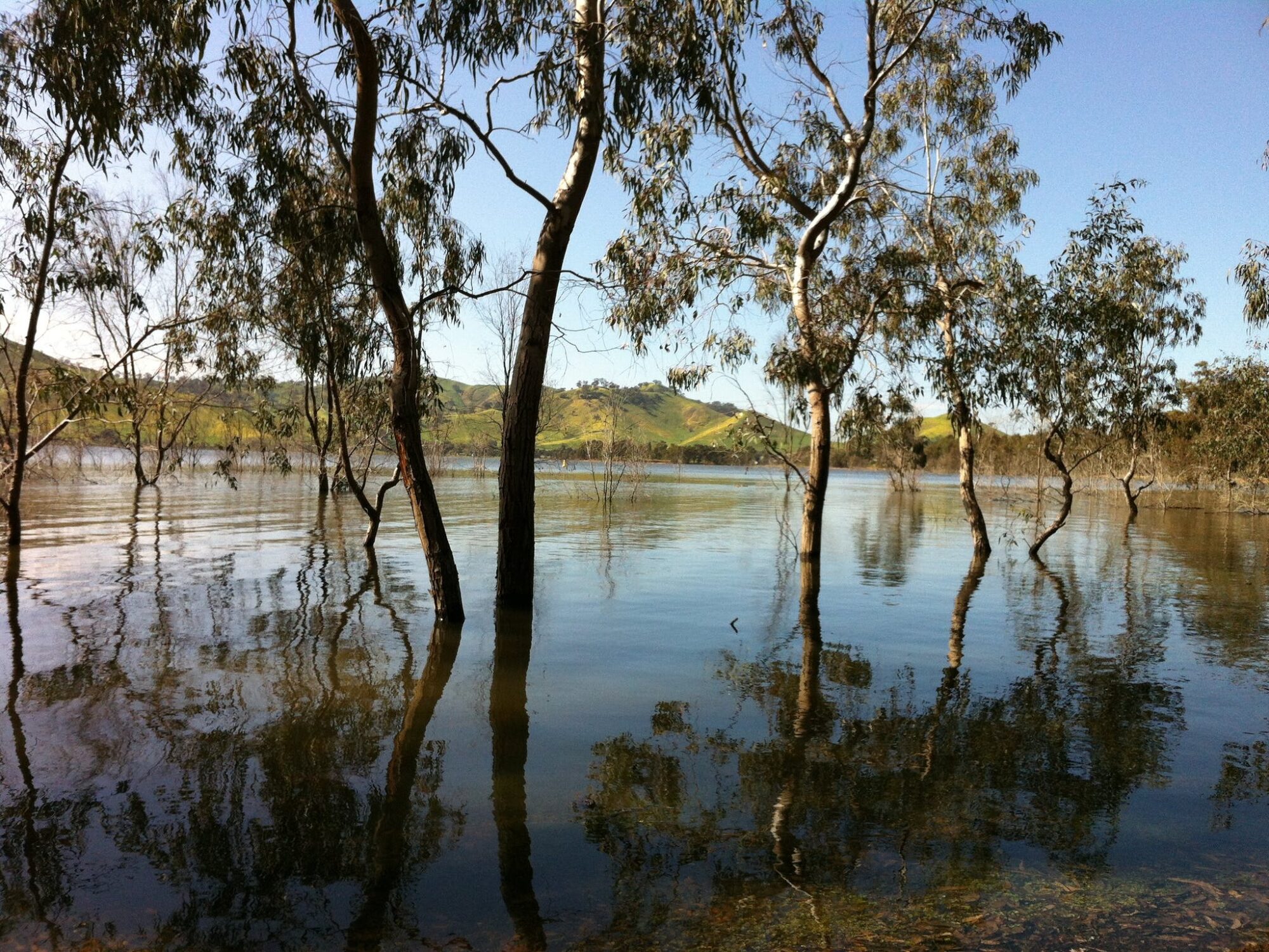 Bonnie Doon near bridge