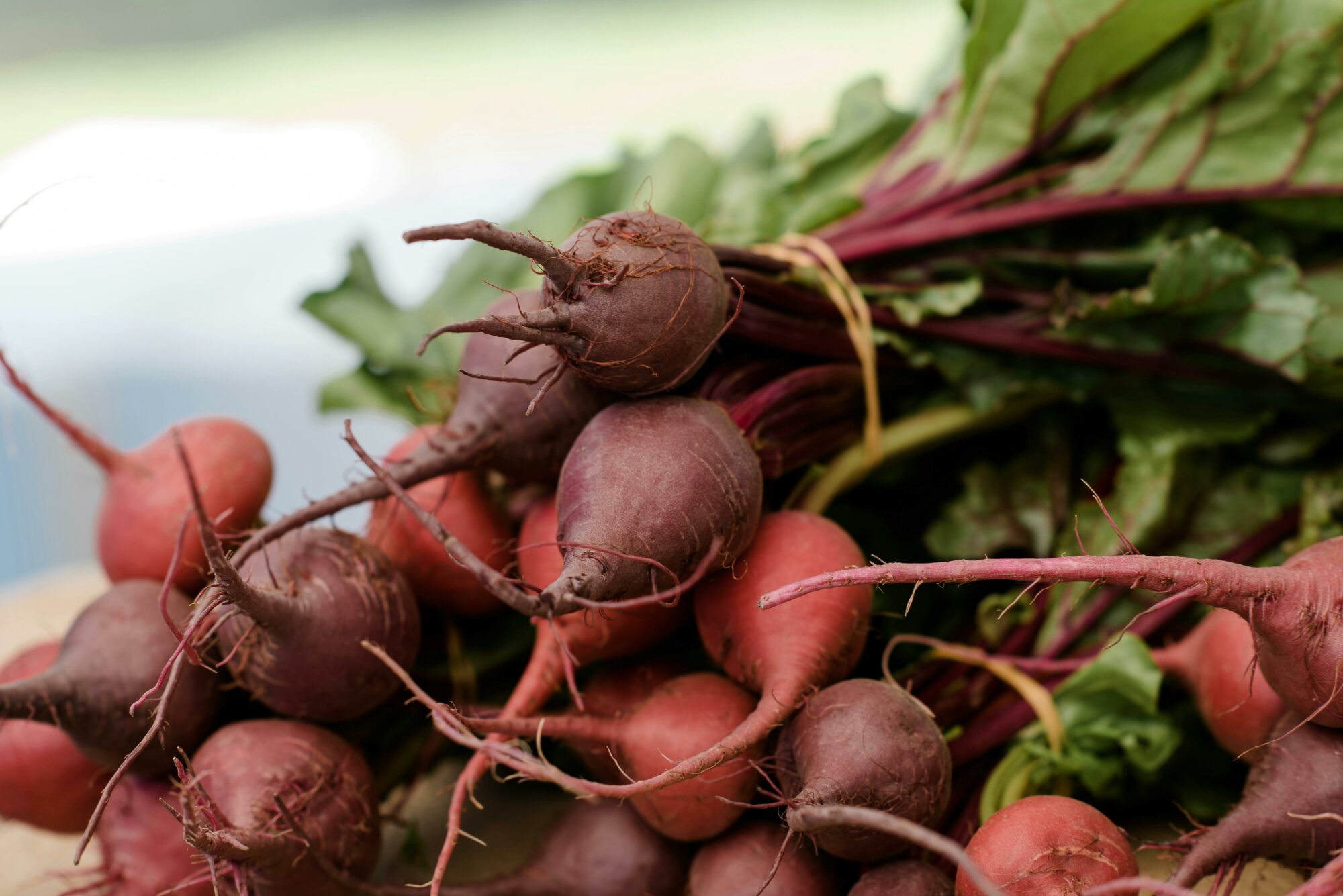 Heirloom beetroots