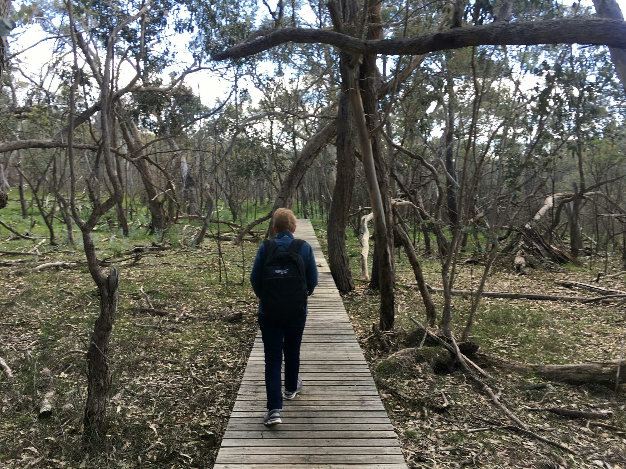 A lone lady walks along the Friends Track in the Warby Ovens National Park