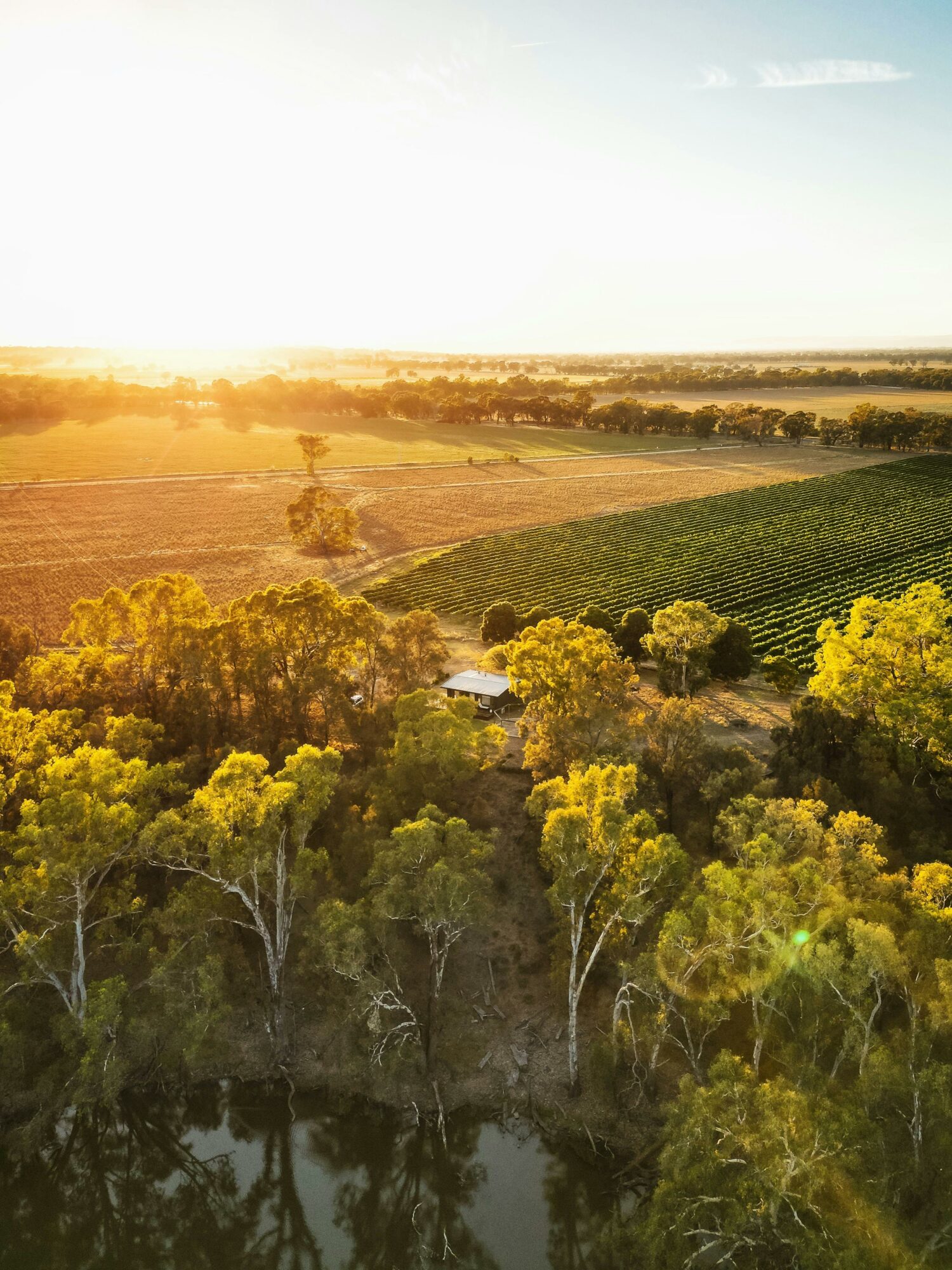 Lake Moodemere Estate