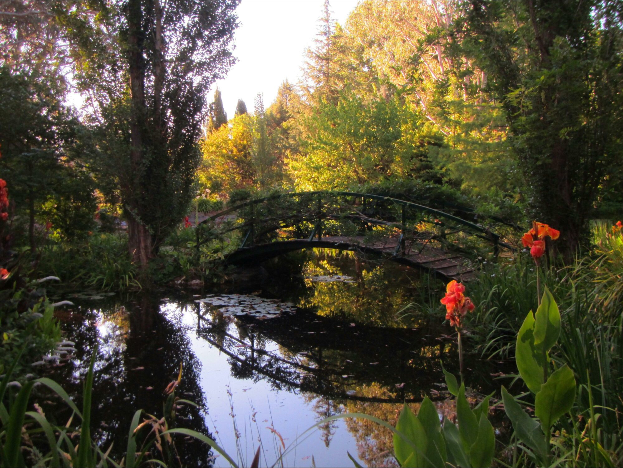 The Witches Garden Monet's bridge