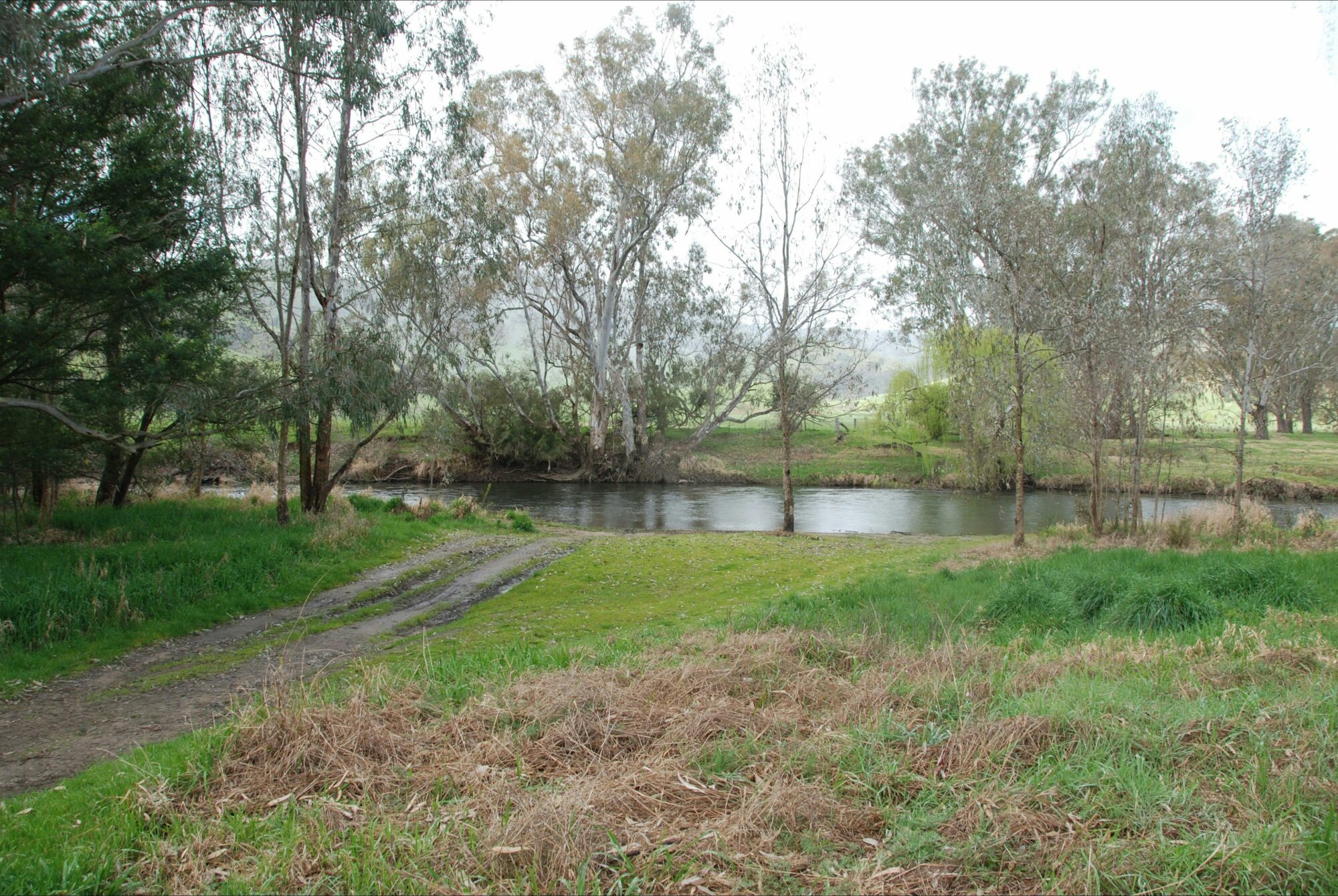 Pigs Point Streamside Reserve