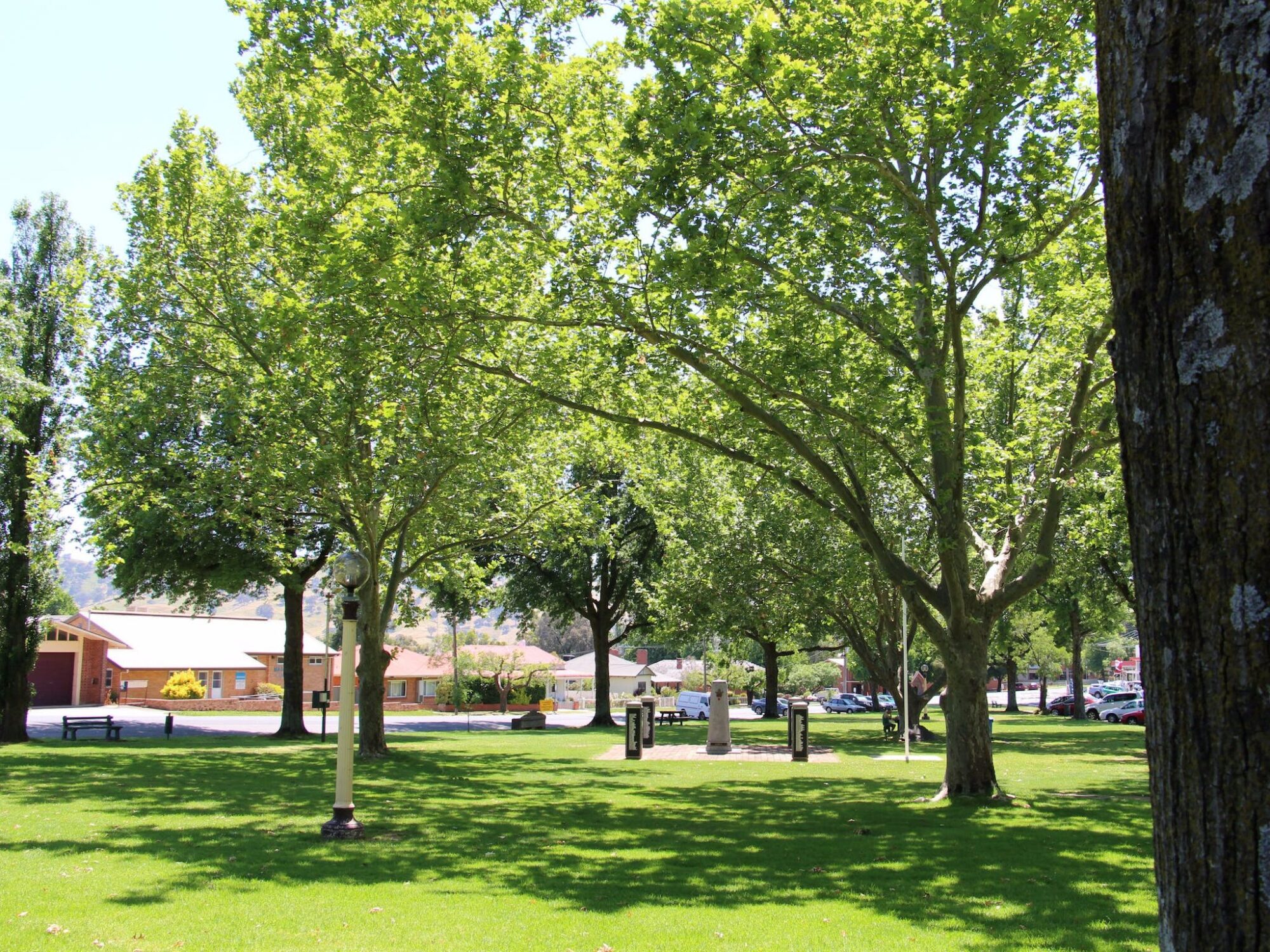 Tallangatta Triangles