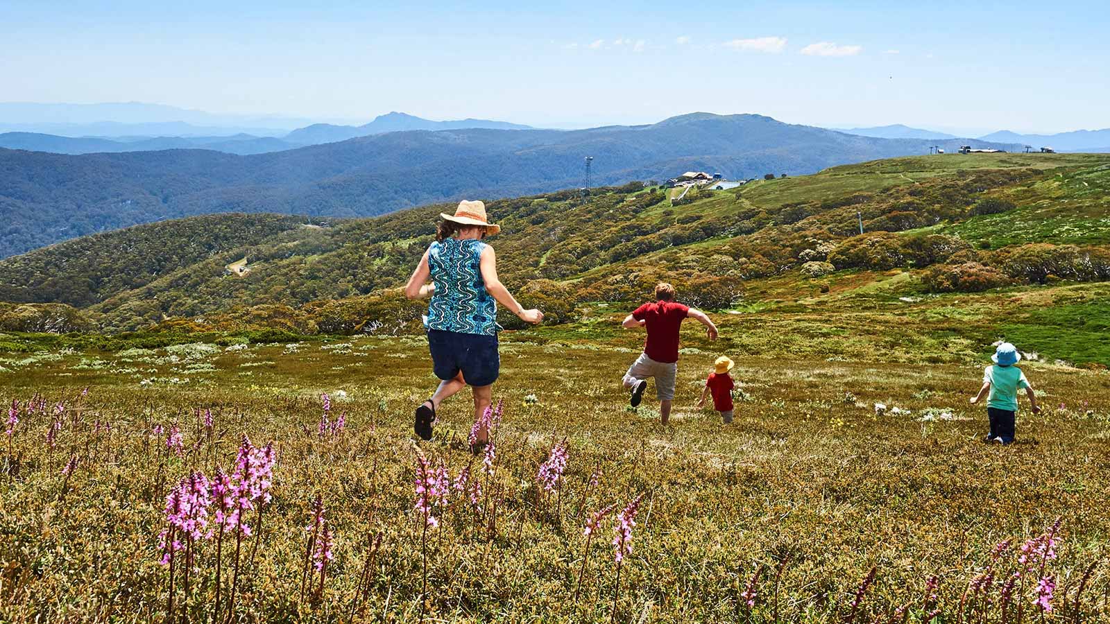 Summit Nature Walk - Victoria's High Country
