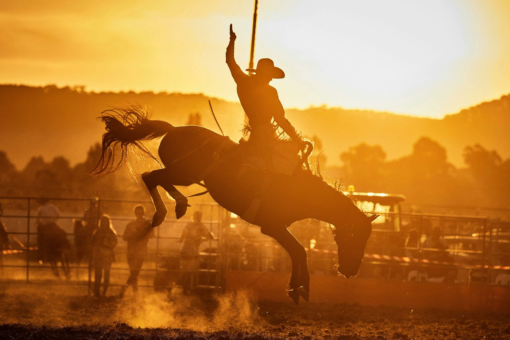 sunset bronc rider
