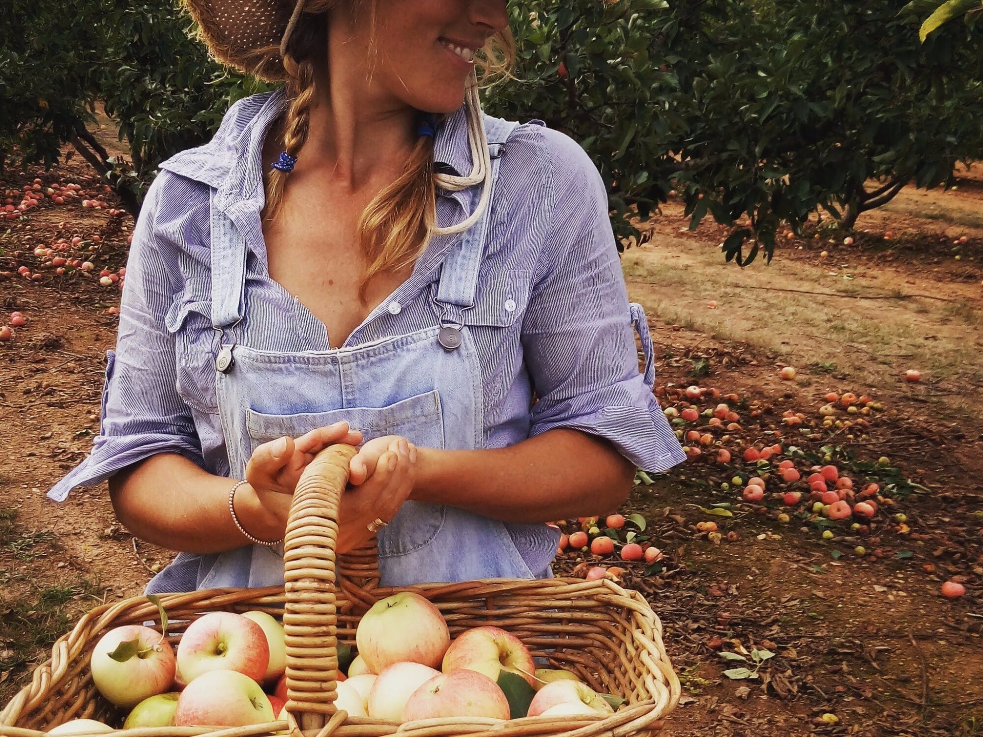 Black Barn Farm - Pick Your Own Apples