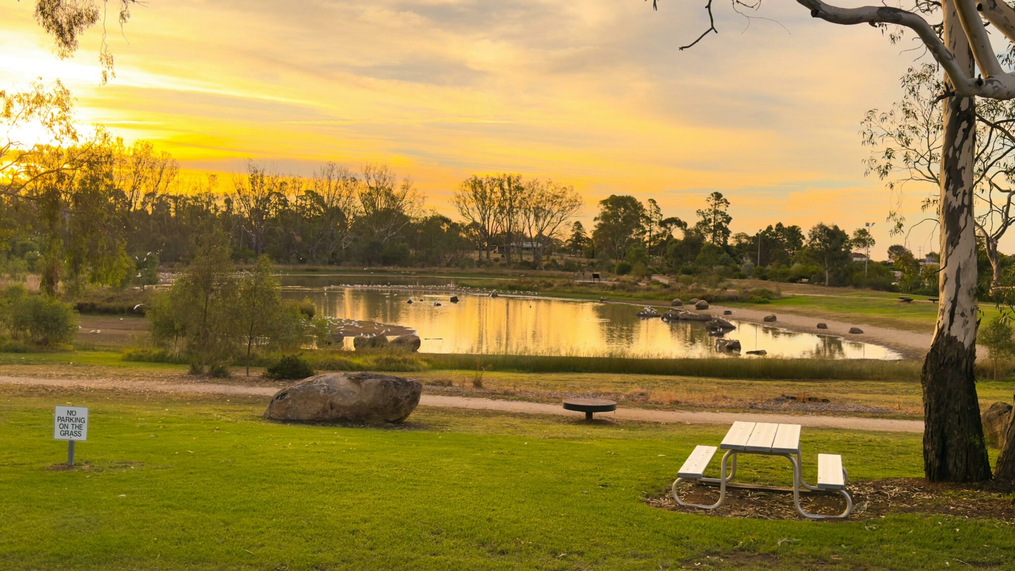 A view of the lake at sunset