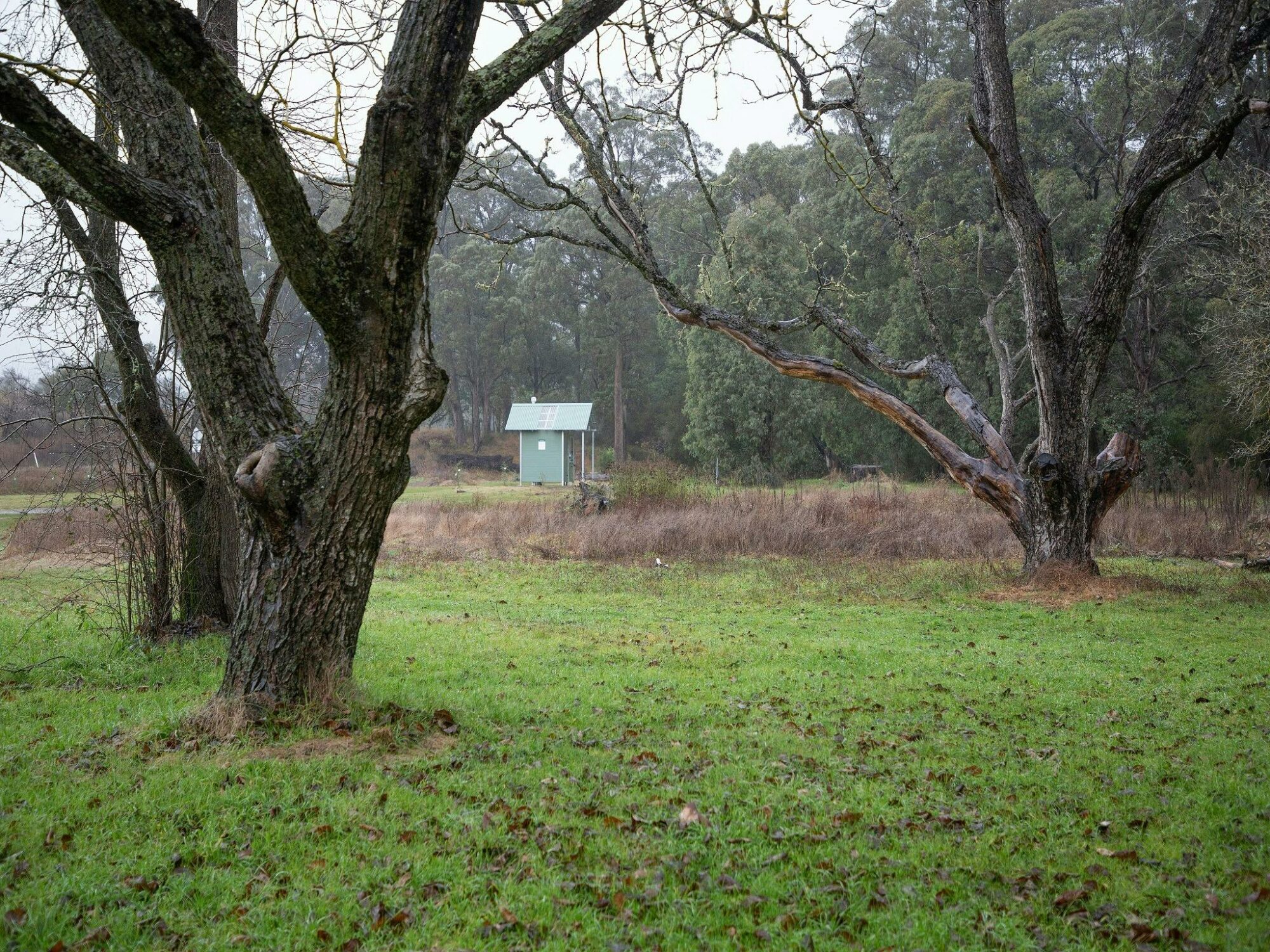 The Walnuts Campground