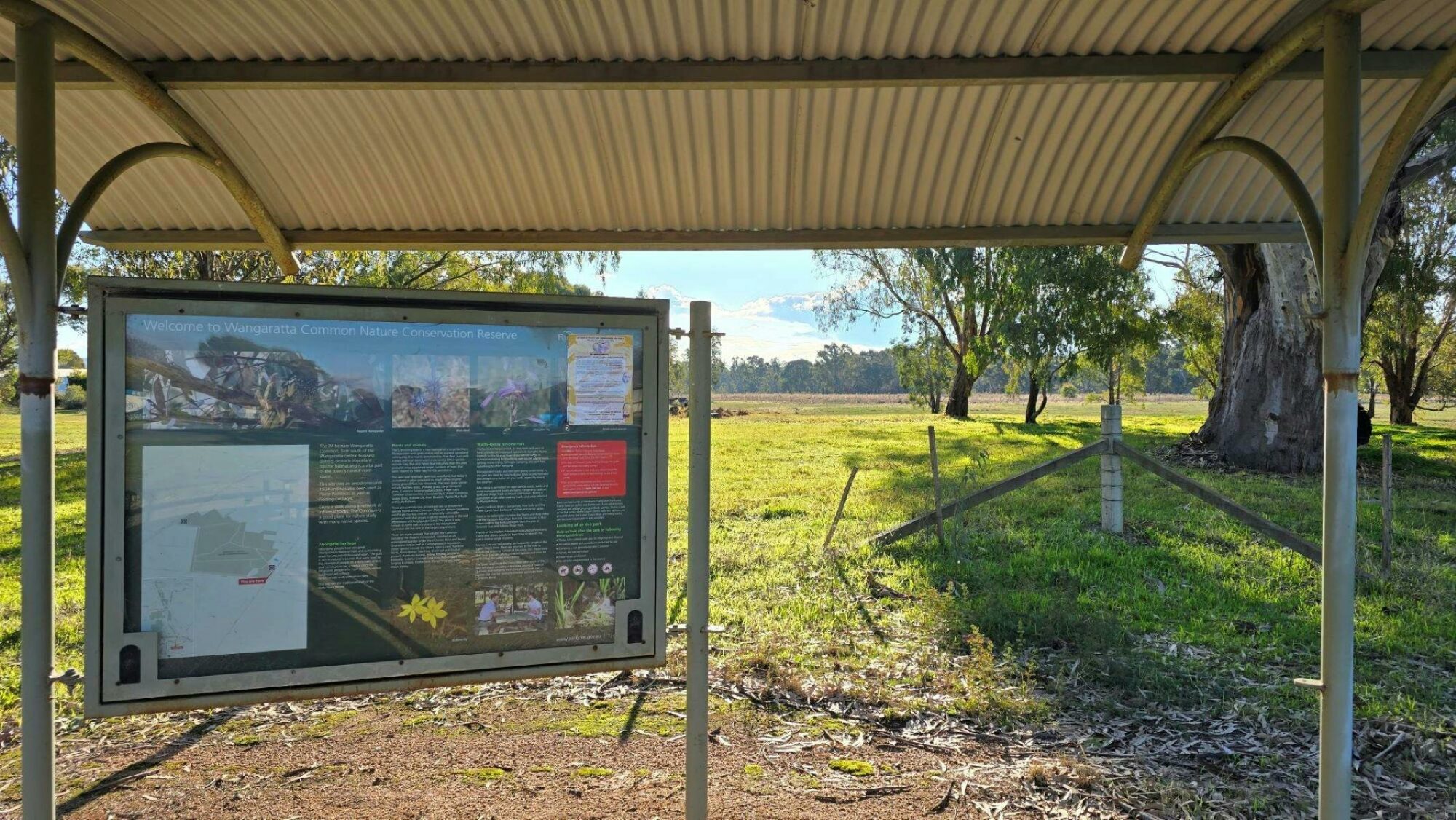 Notice board with information on the Wangaratta Common Nature Reserve under tin roof