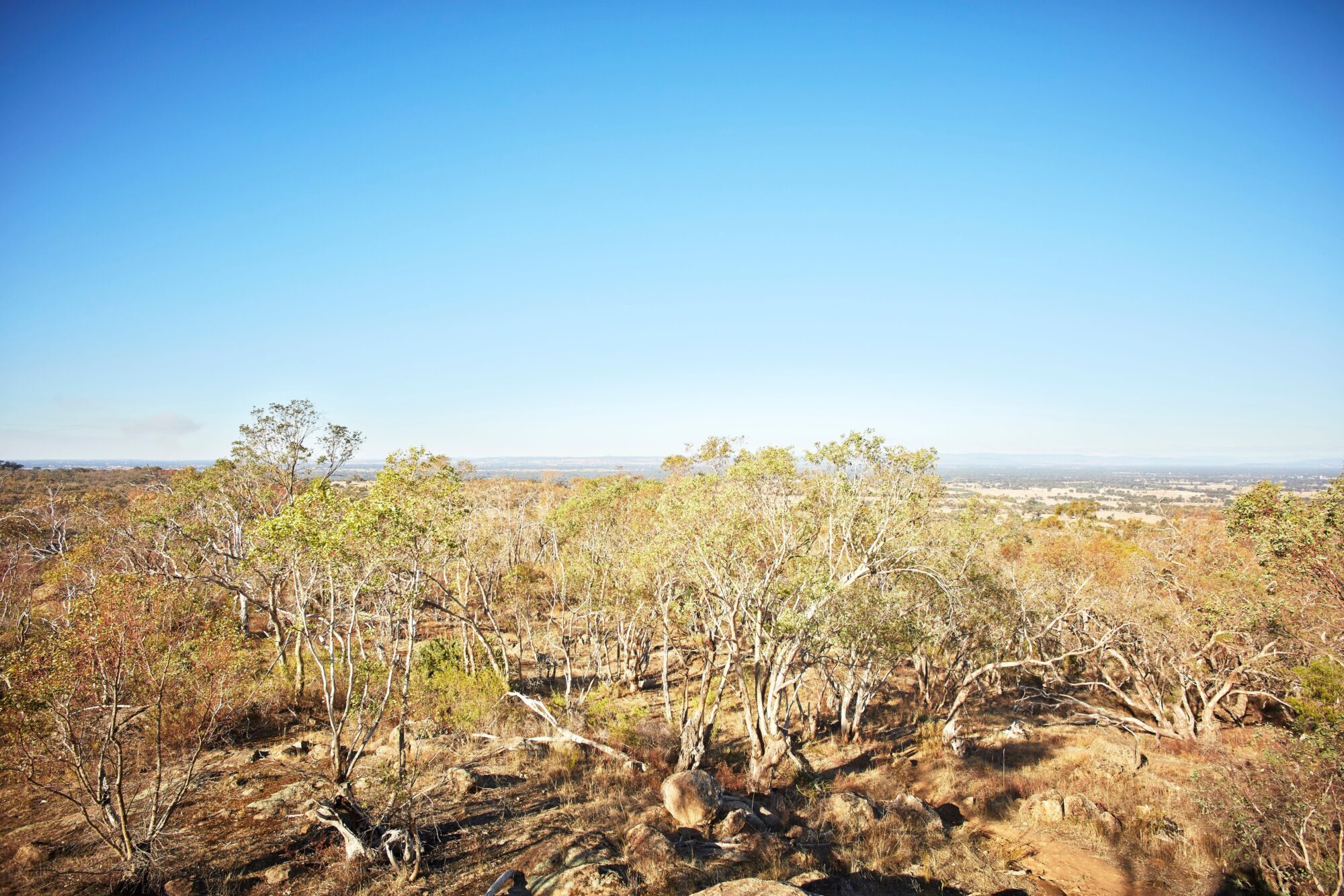view over rocks, trees, native grasses, farmland towards Wangaratta, mountains in the distance