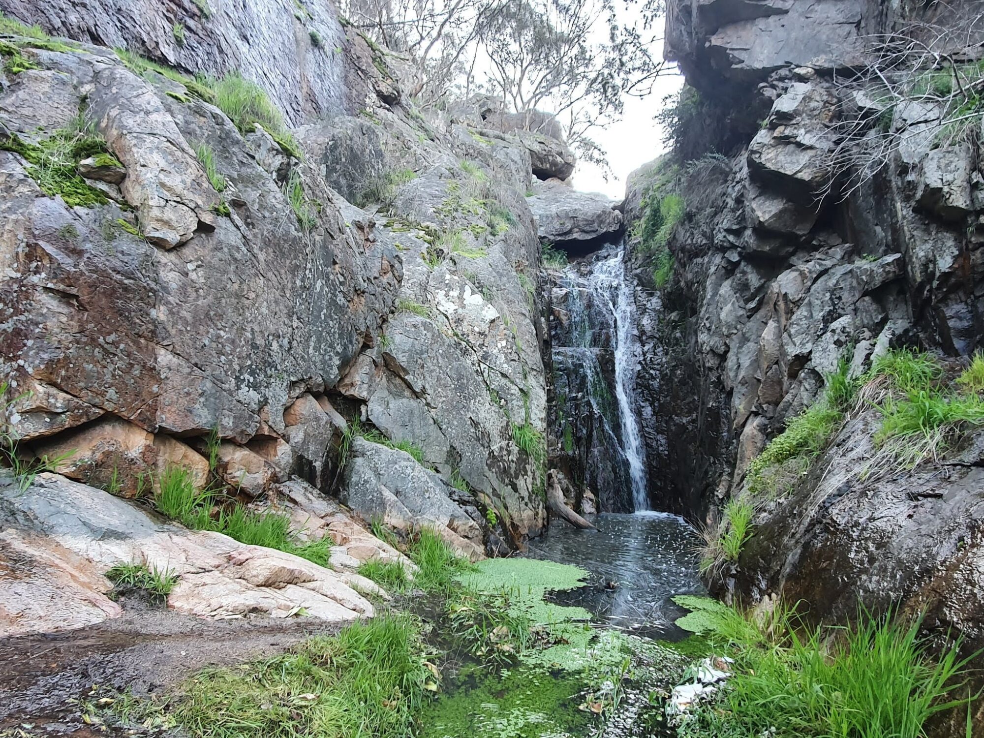waterfall cascading over rocks into a pond. rocks, bolders, native grasses, ferns, green moss