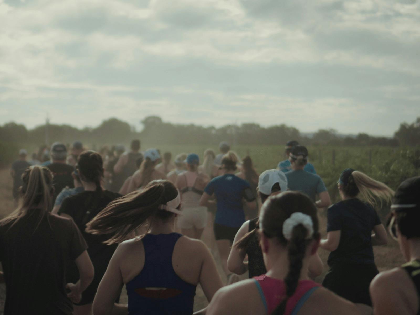Runners at Vineyards Twilight
