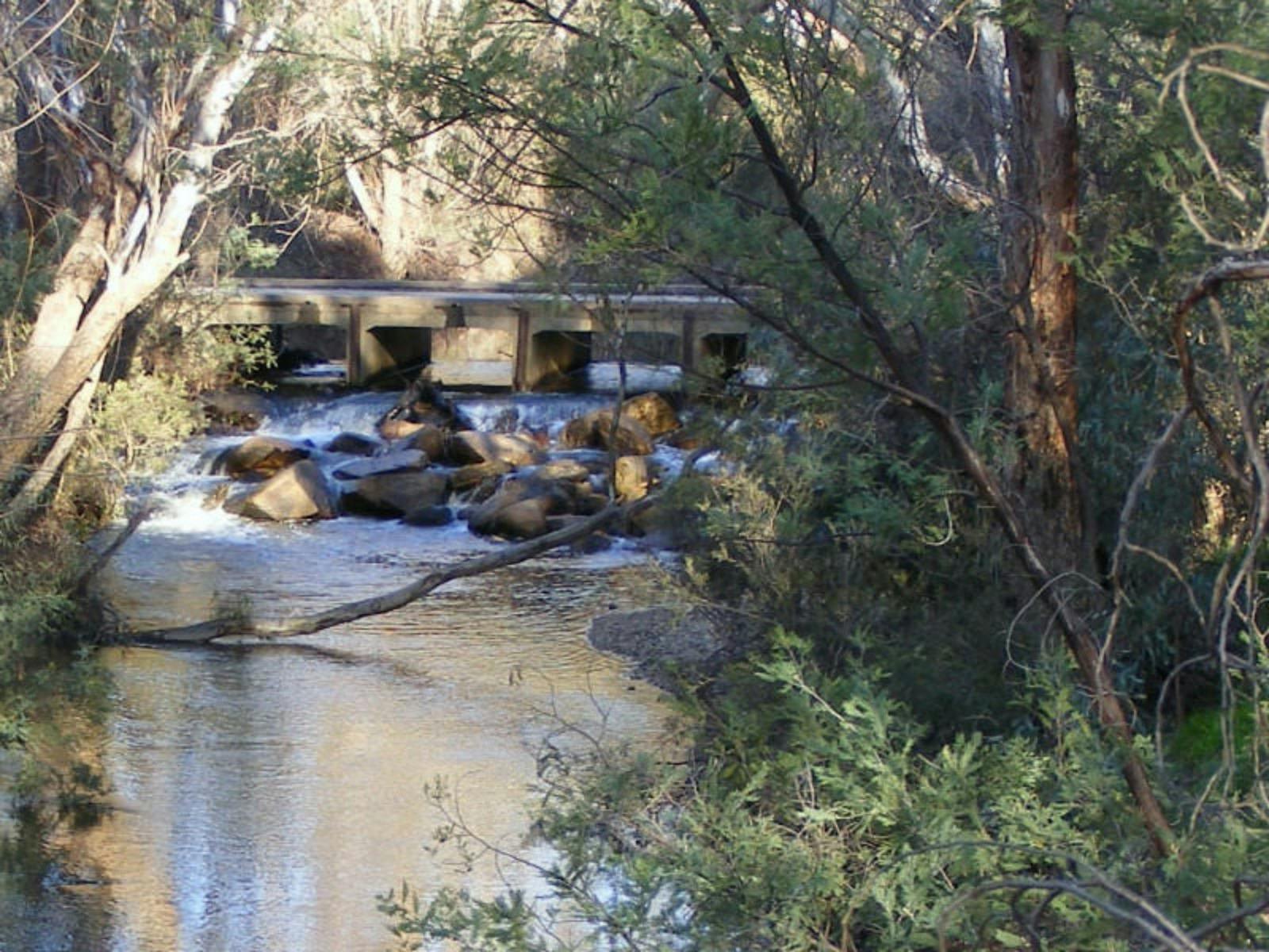 Water flowing under bridge through rocks, lots of trees, sunny sky.