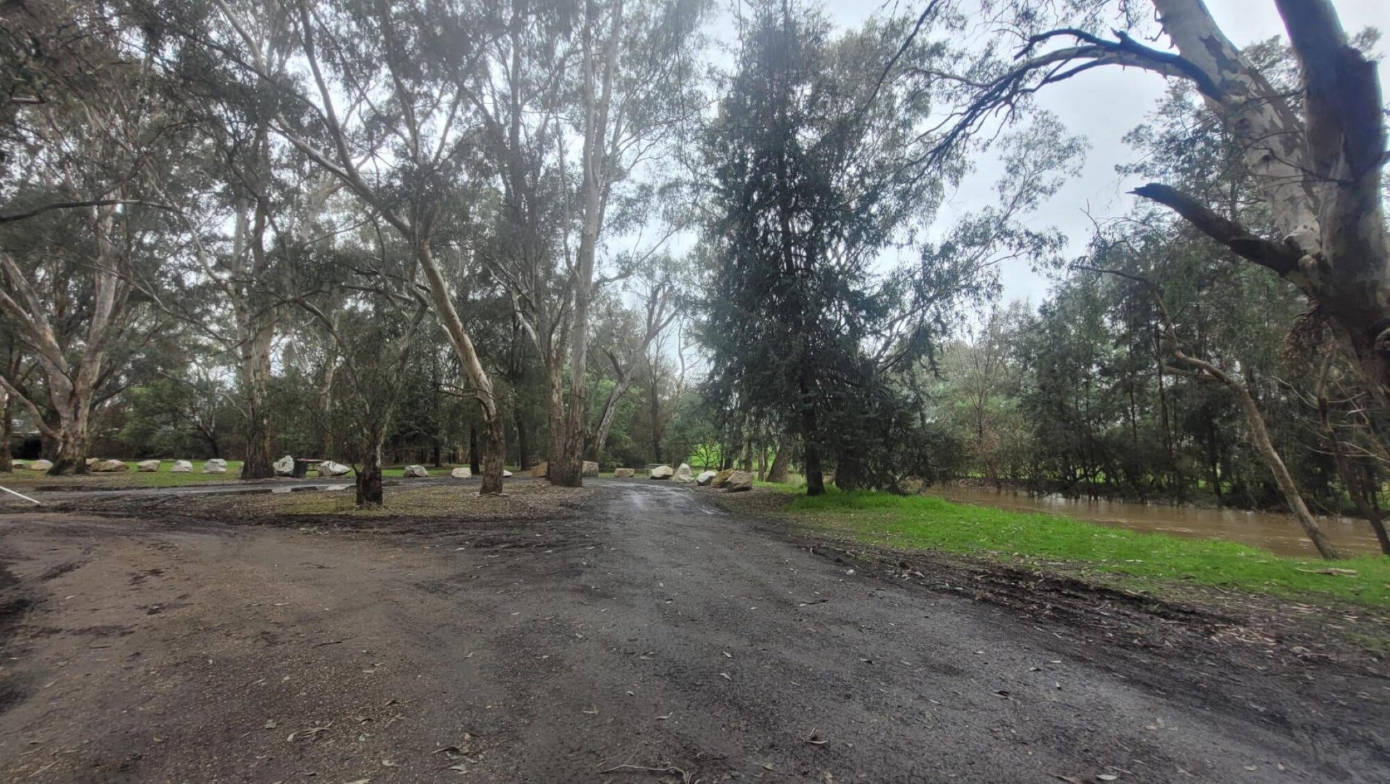 Dirt road, gum trees, rocks, river on right hand side