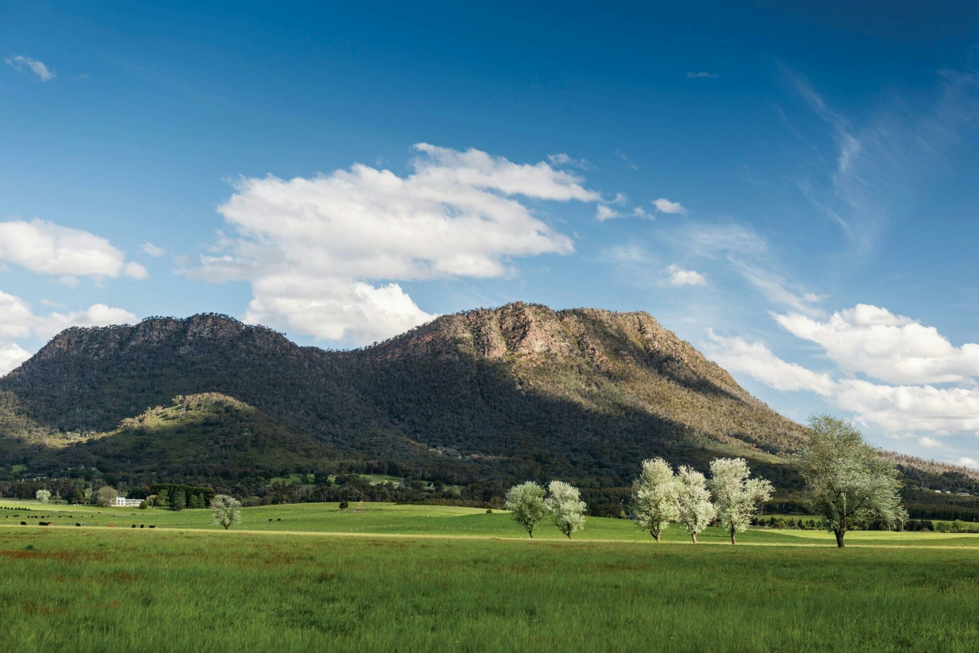 Cathedral Range near Taggerty