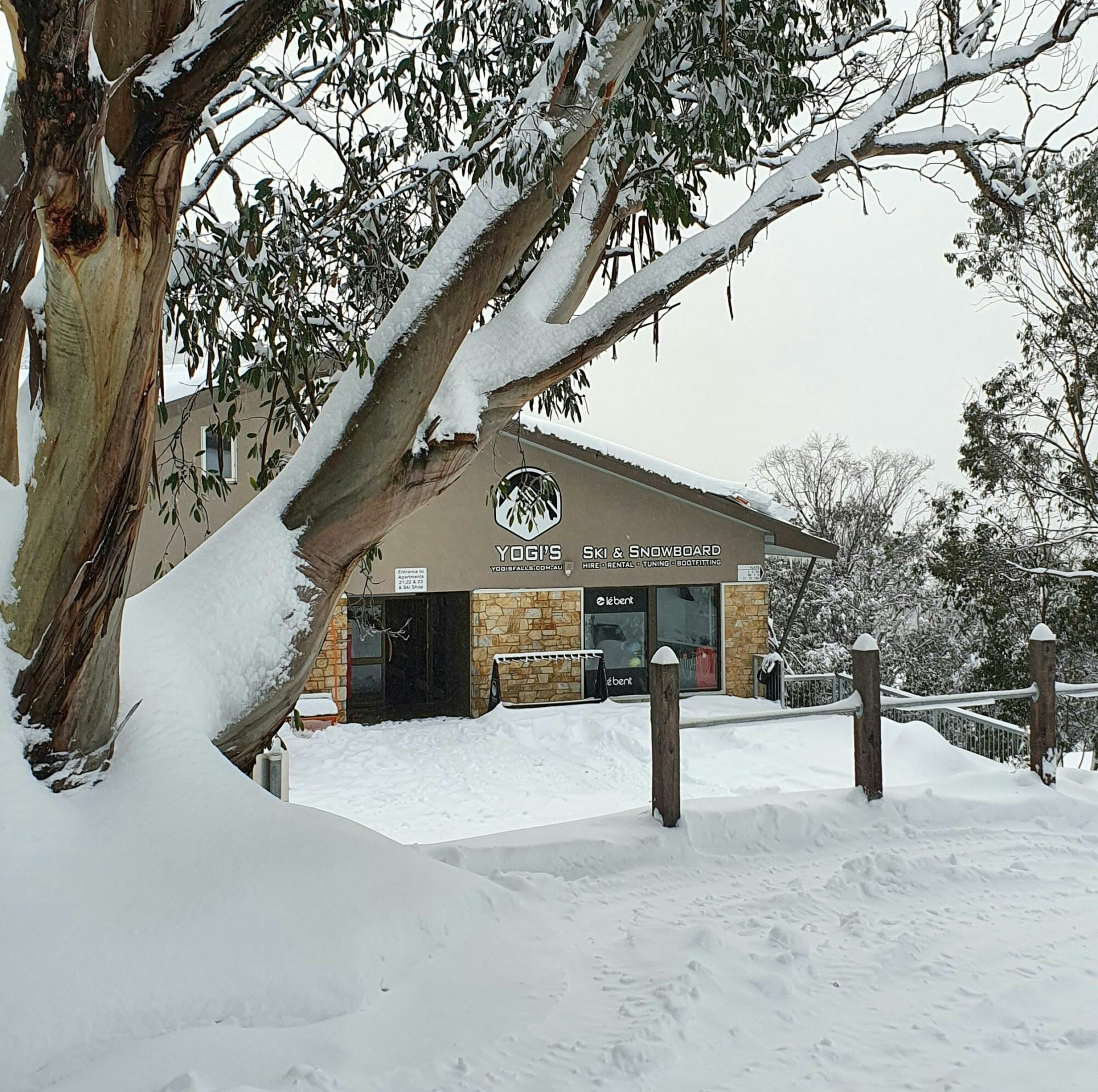 Falls Creek Rental Yogis