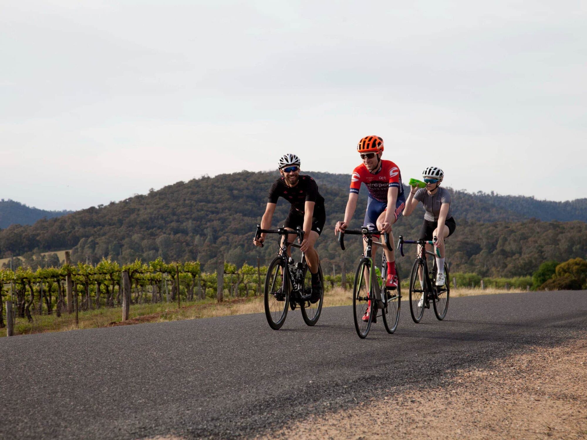 Road cyclists, grape vines on side of road, hills in the background, sunny day