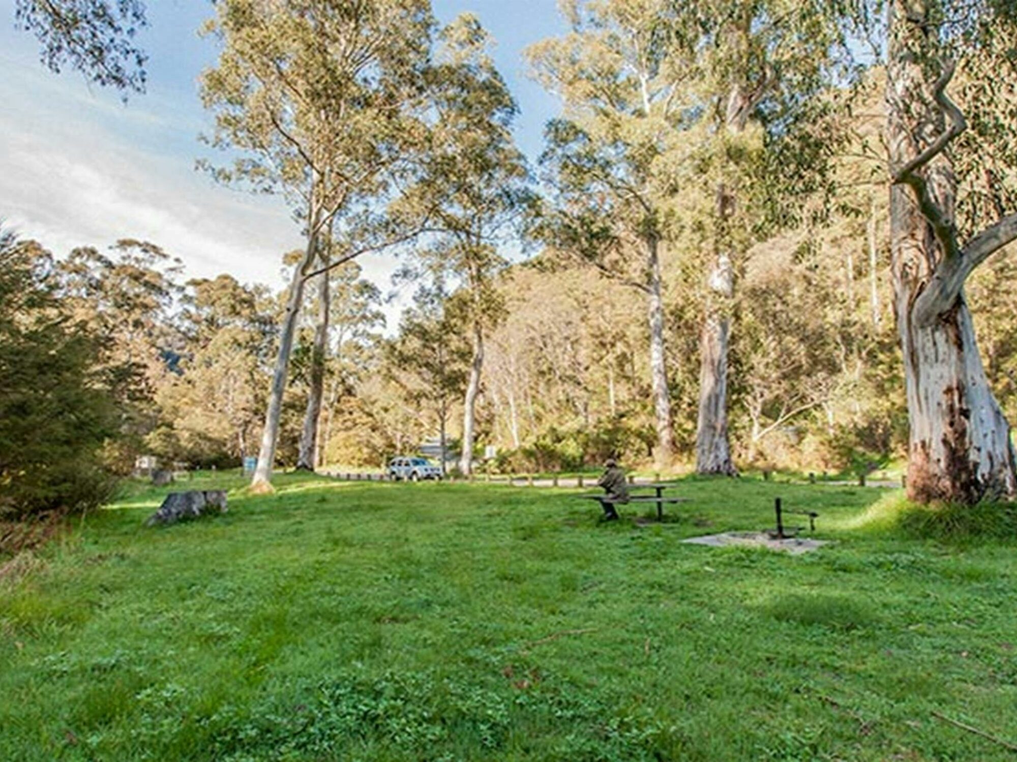Leatherbarrel Creek picnic area, Kosciuszko National Park. Photo: Murray Vanderveer &copy; DPIE