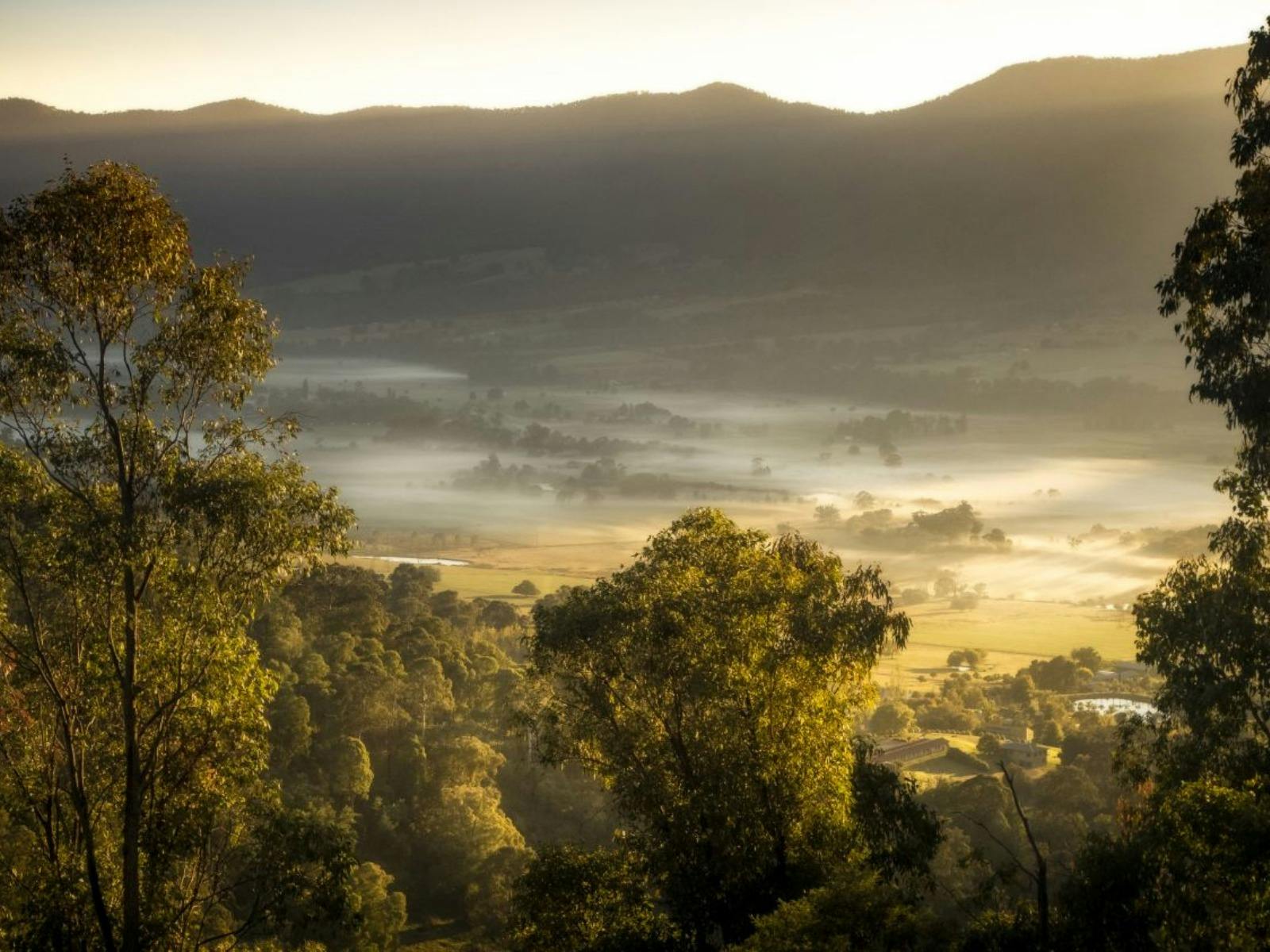 Tawonga Gap Lookout