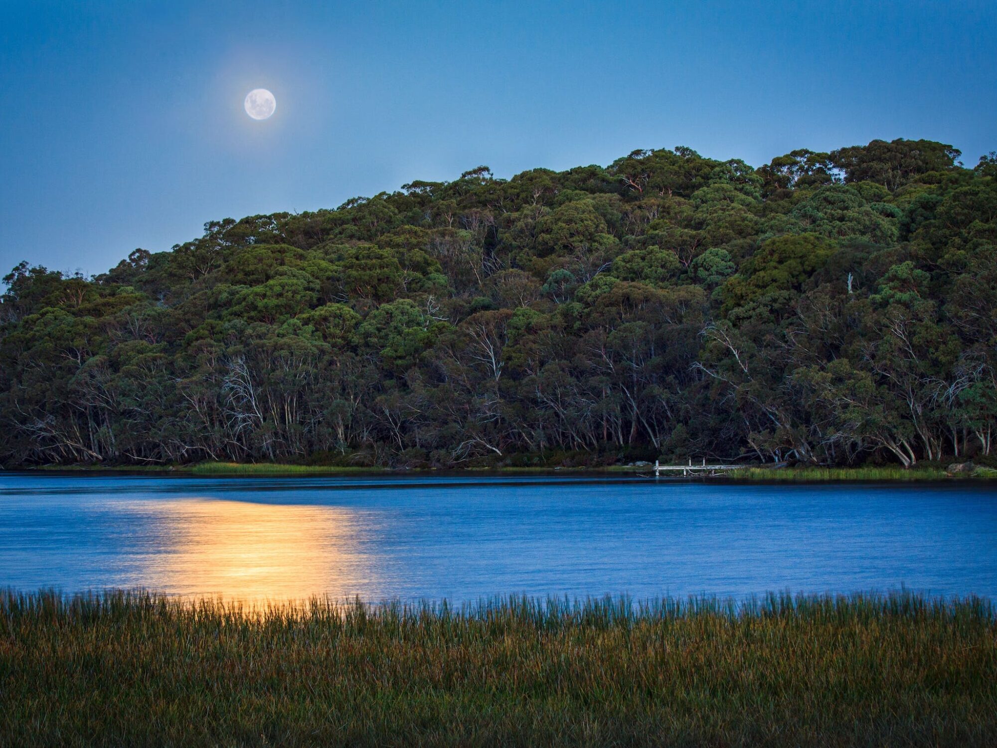 Moonrise over lake