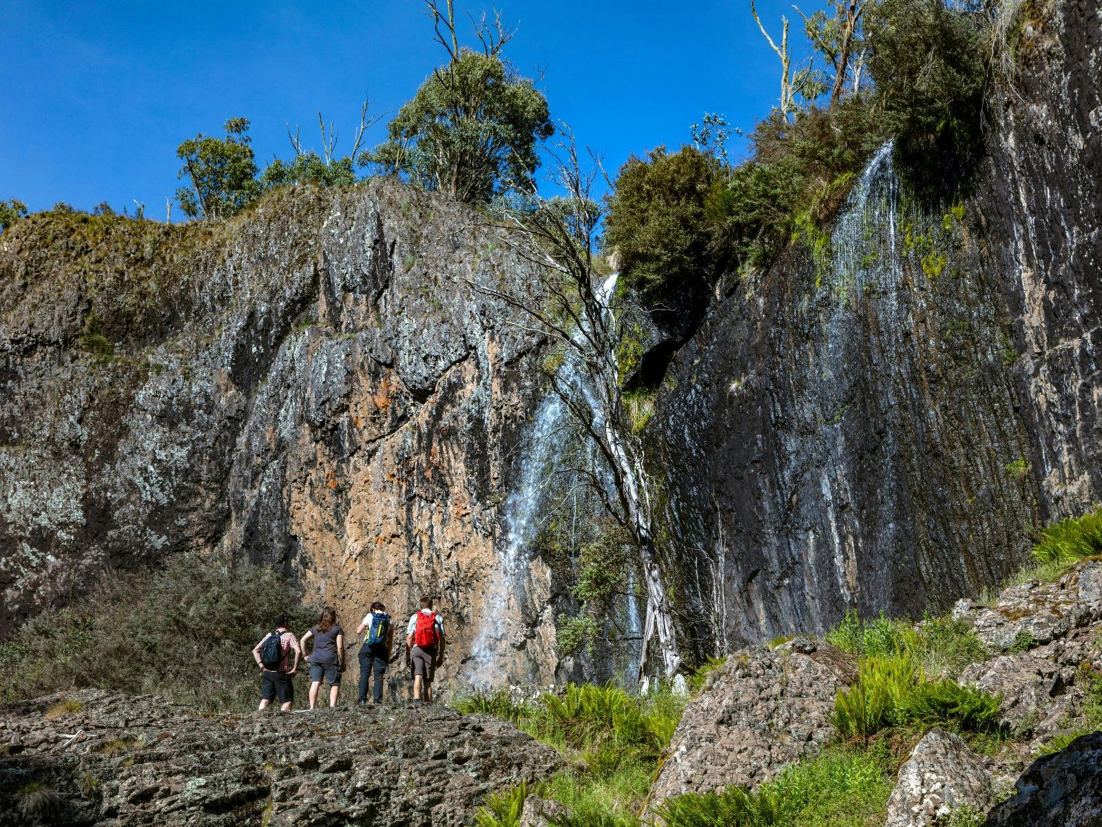 Carmichael Falls