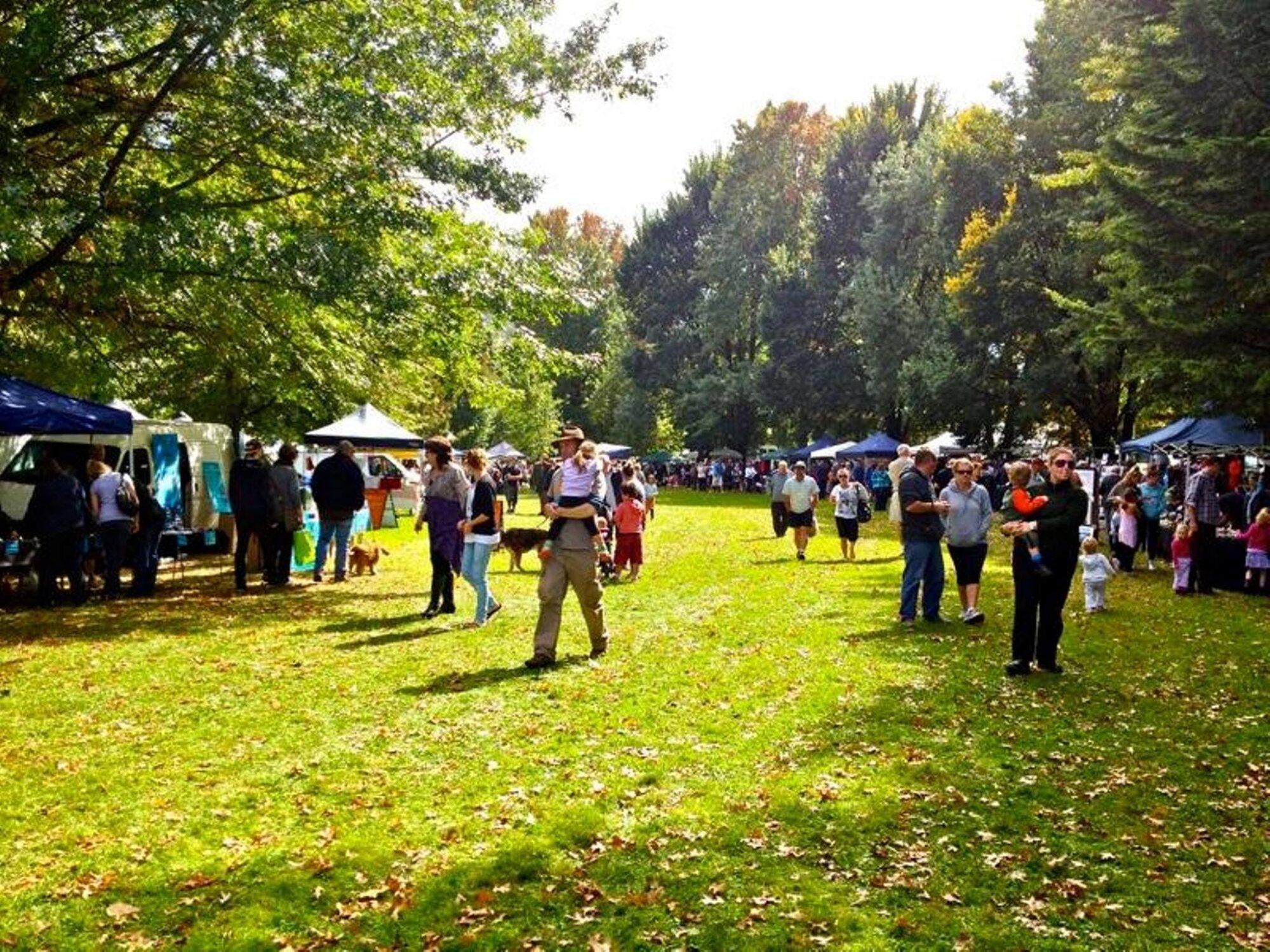 Harrietville Bush Market