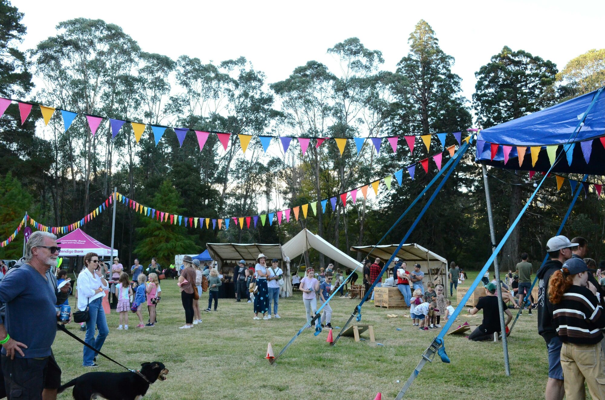 Festival vibes - bunting and kids activities with a background of trees