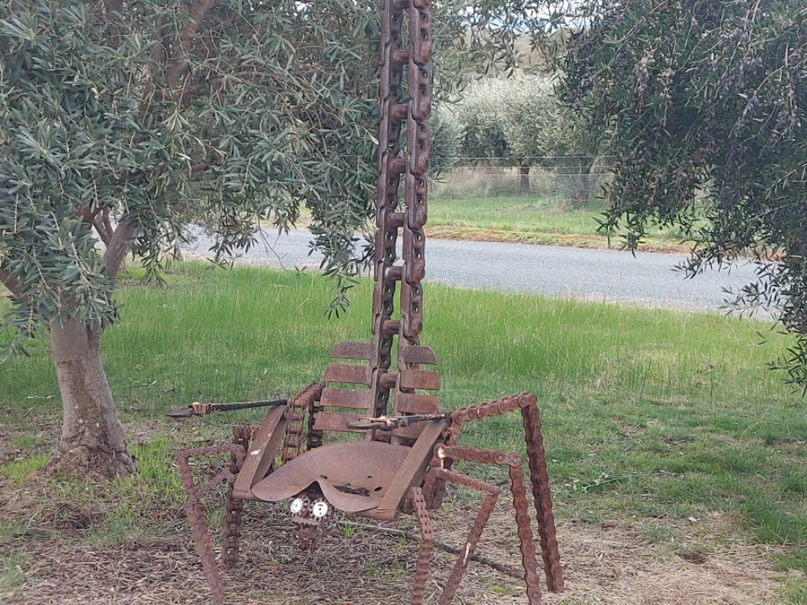 The Scorpion at Gooramadda Olives