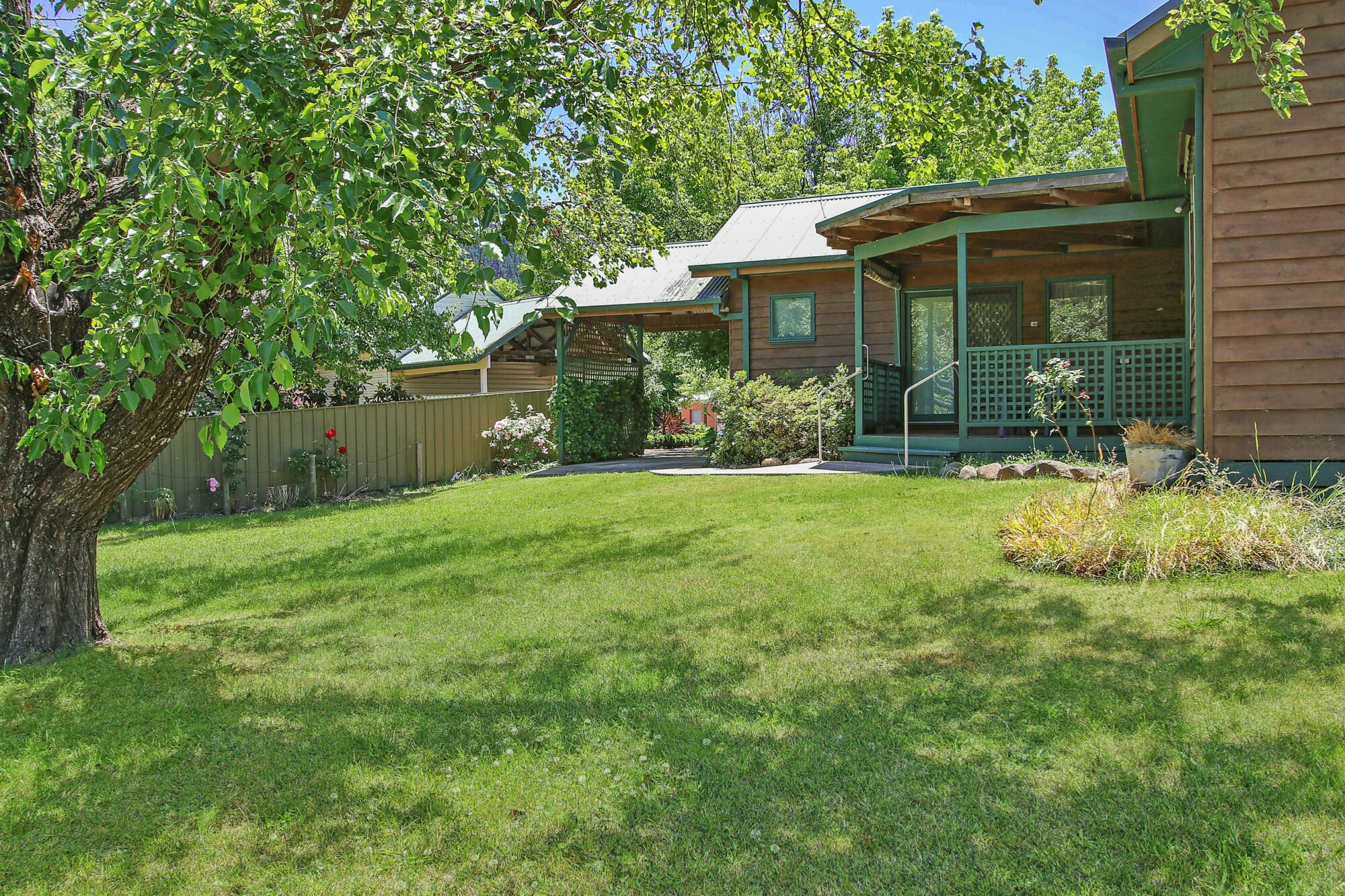 Backyard garden