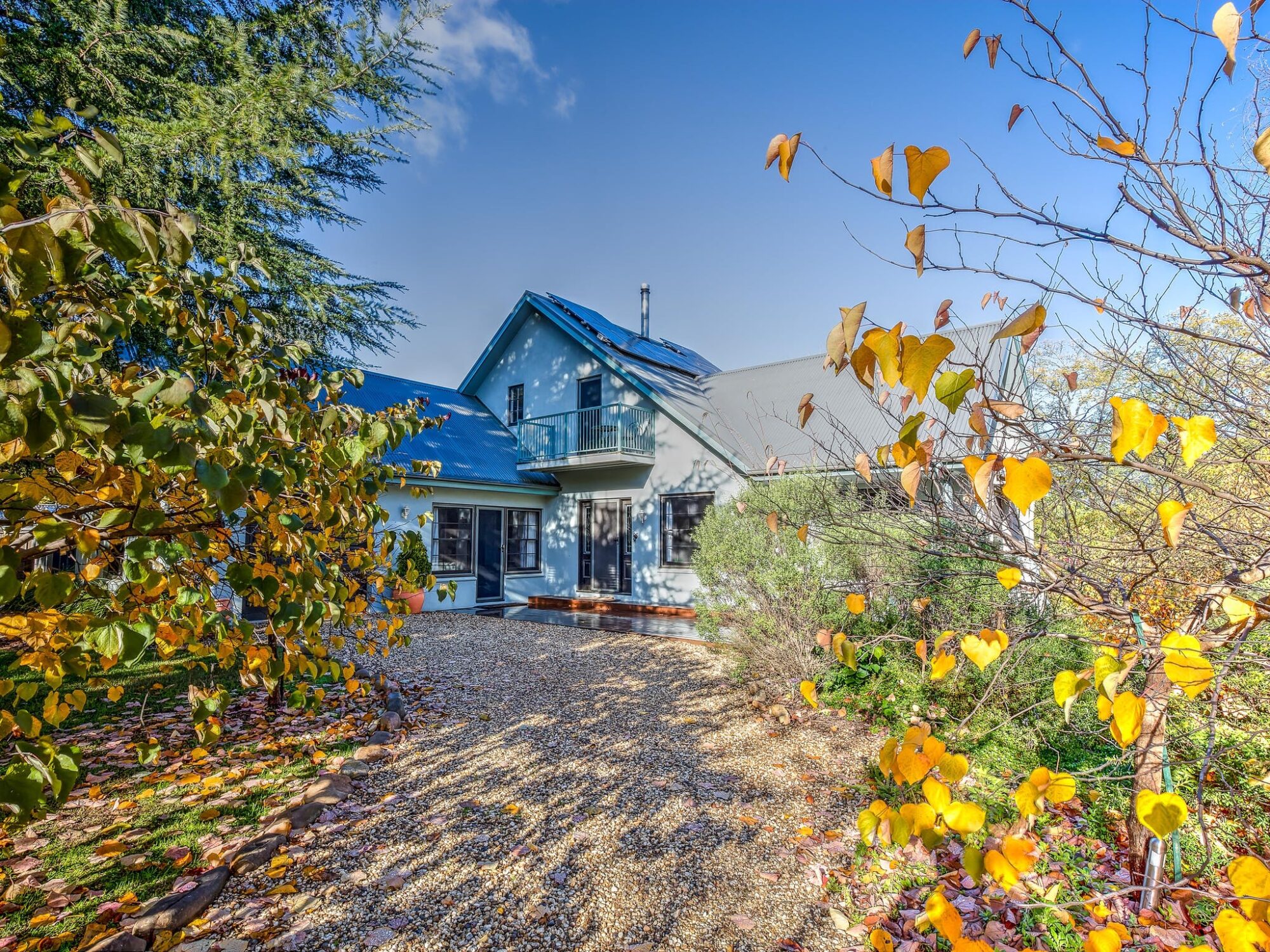 Exterior entrance, driveway and trees