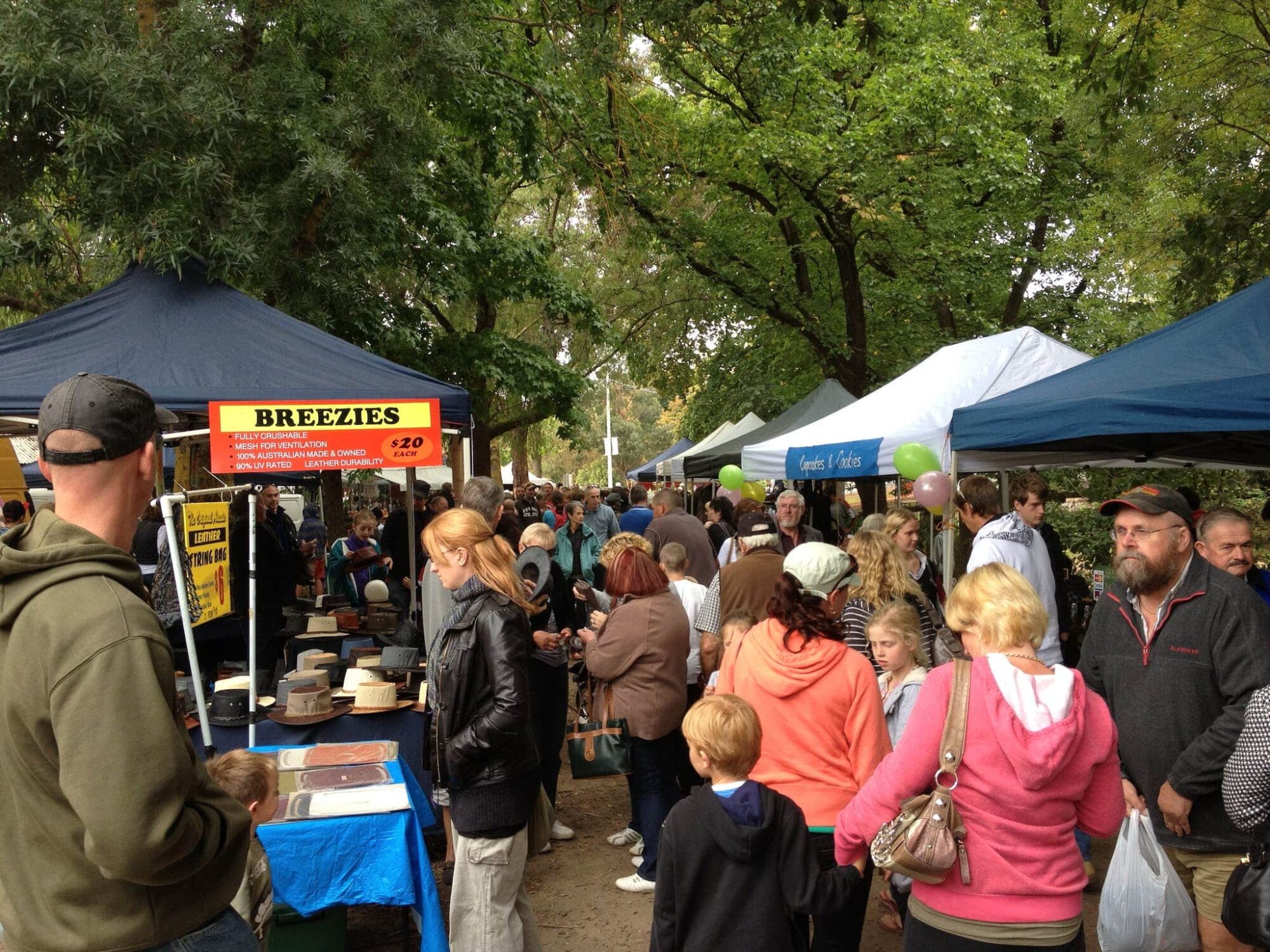 Numerous people walking amongst craft stalls in leafy park.