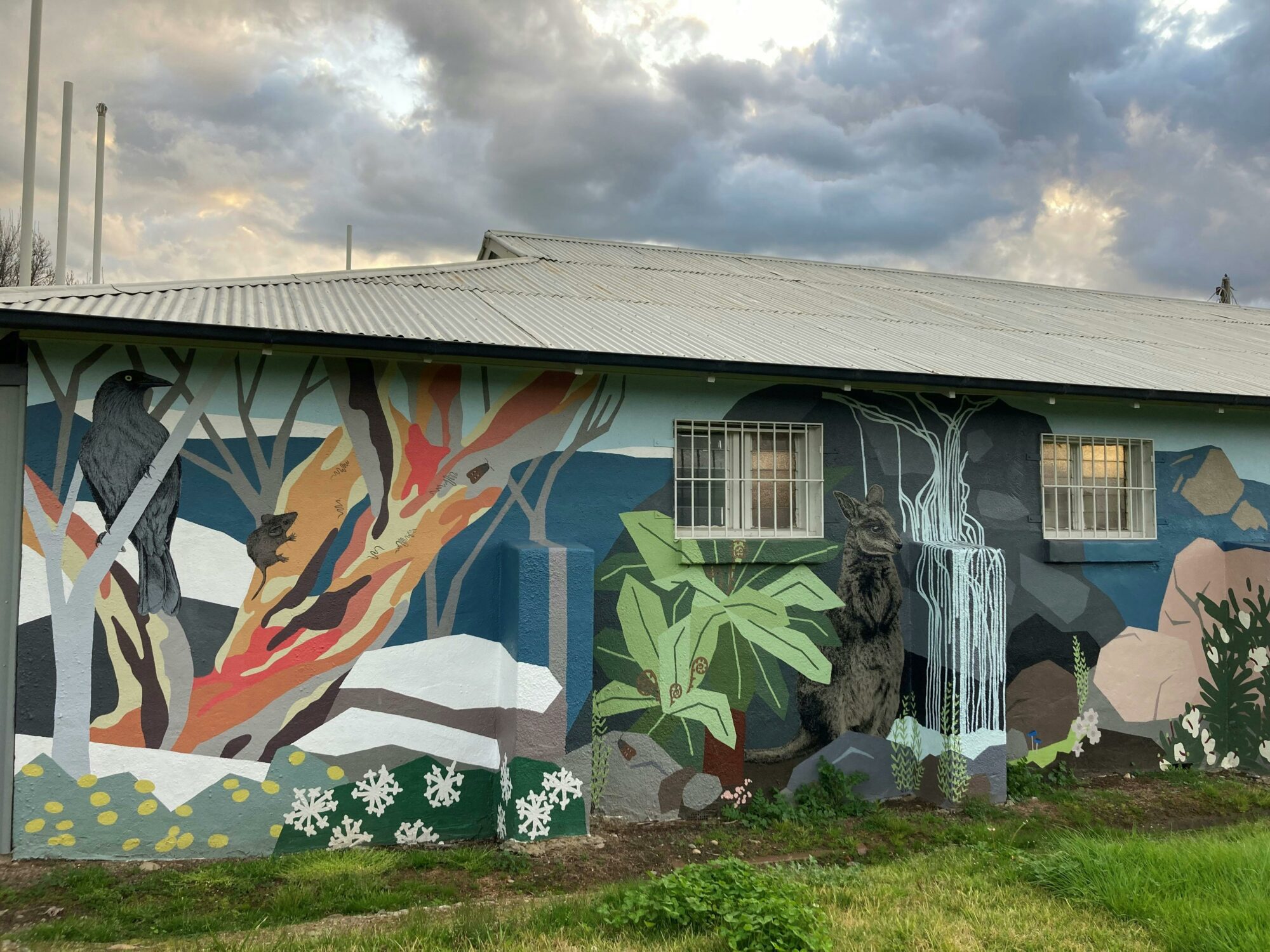 Left hand side panel featuring a grey currawond, bogong moth, scaly buttons, slender tree fern