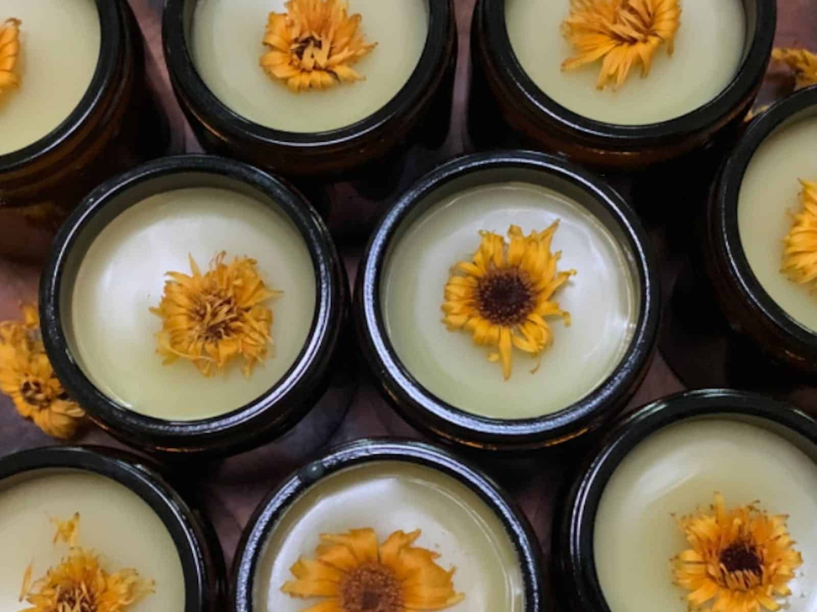 Image looking down on rows of jars with white liquid and yellow flowers