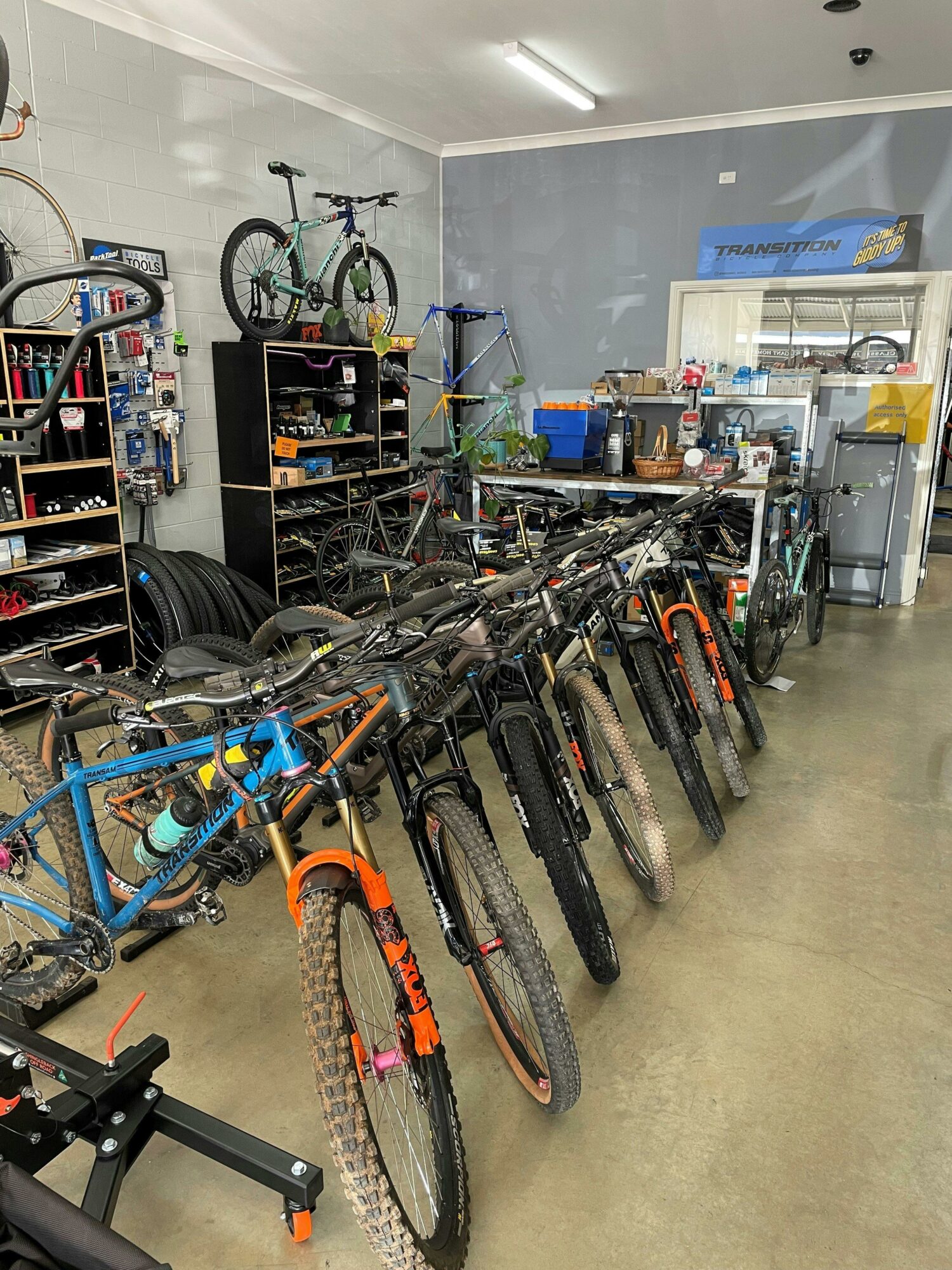 Bikes lined up inside a store
