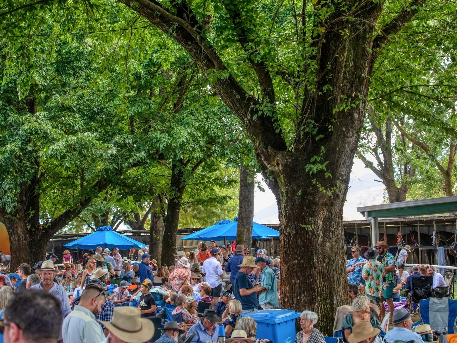 Crowds at the 2023 Towong Cup underneith the shady trees near the stables.
