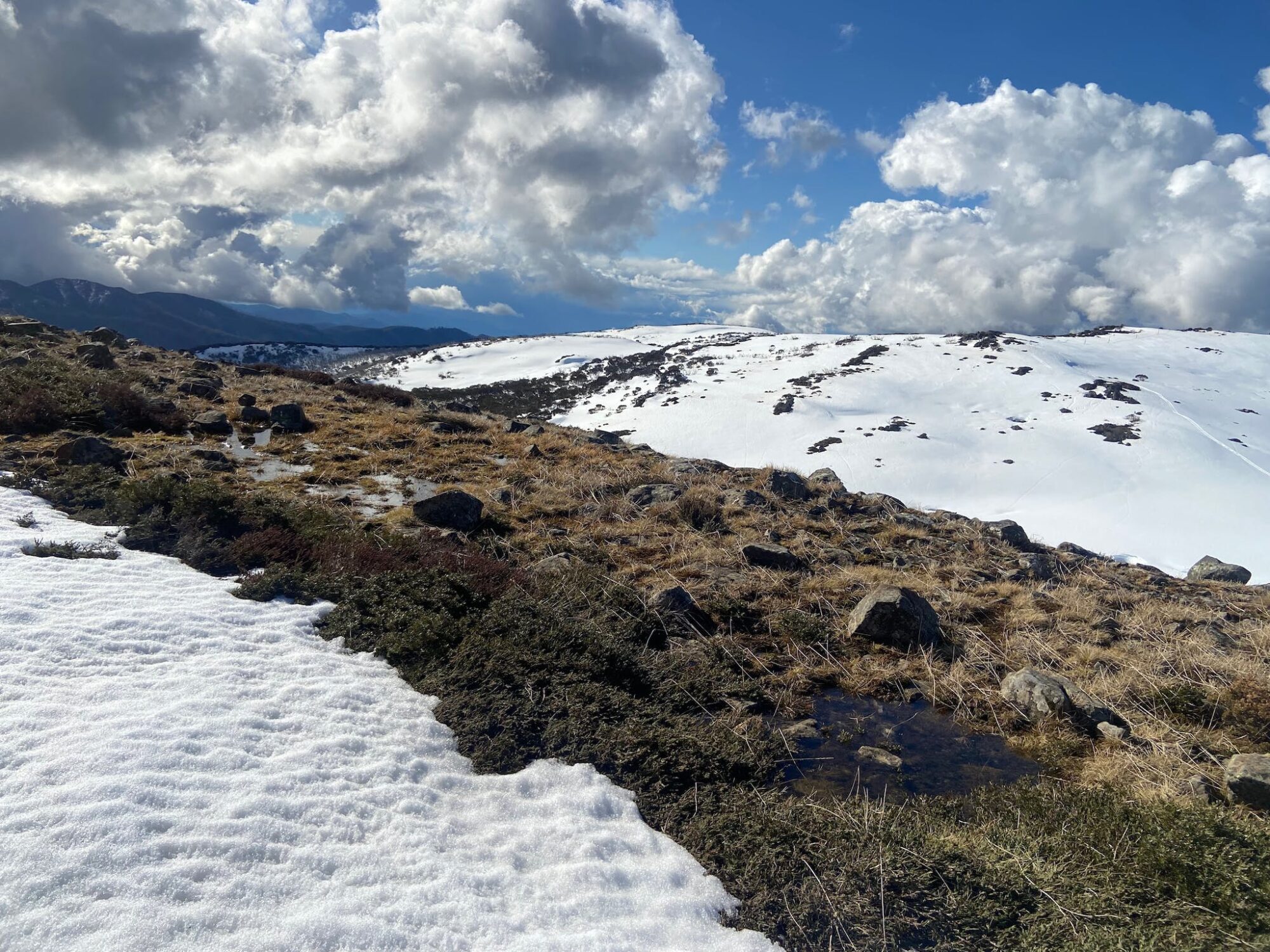 Rocky outcrops between late snow near Mount Mackay