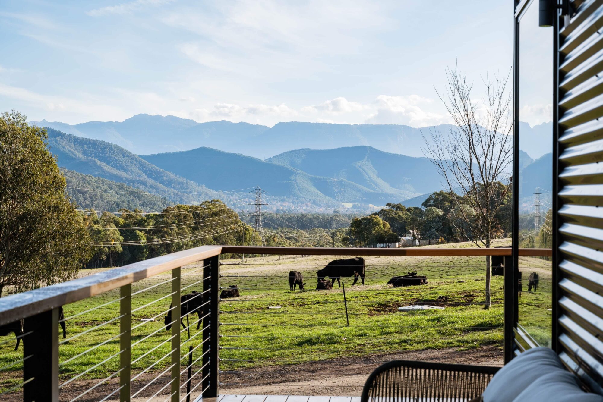 Couch on veranda with views to cows in paddock and the mountains