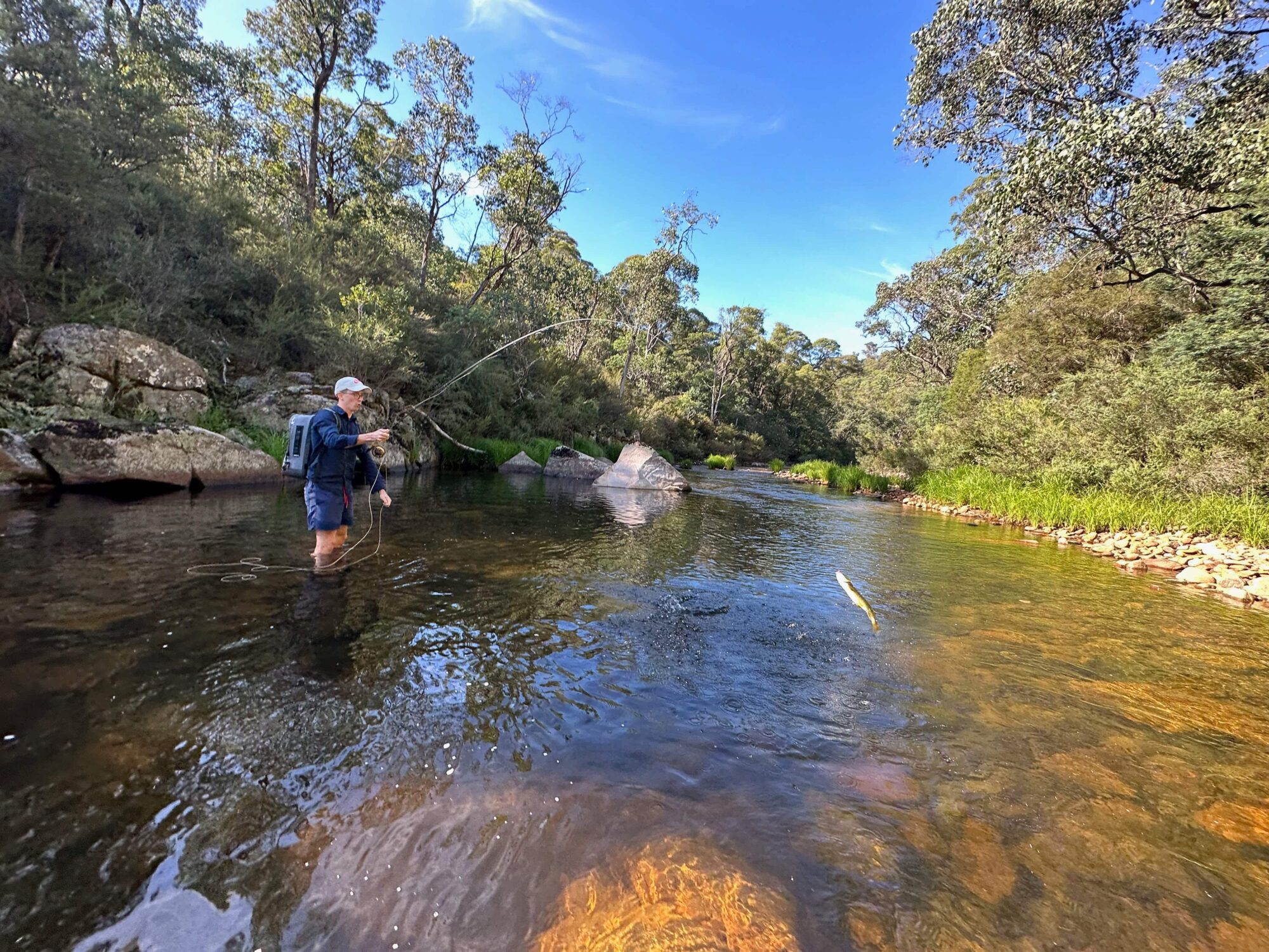 Fly Fishing Guide Mansfield