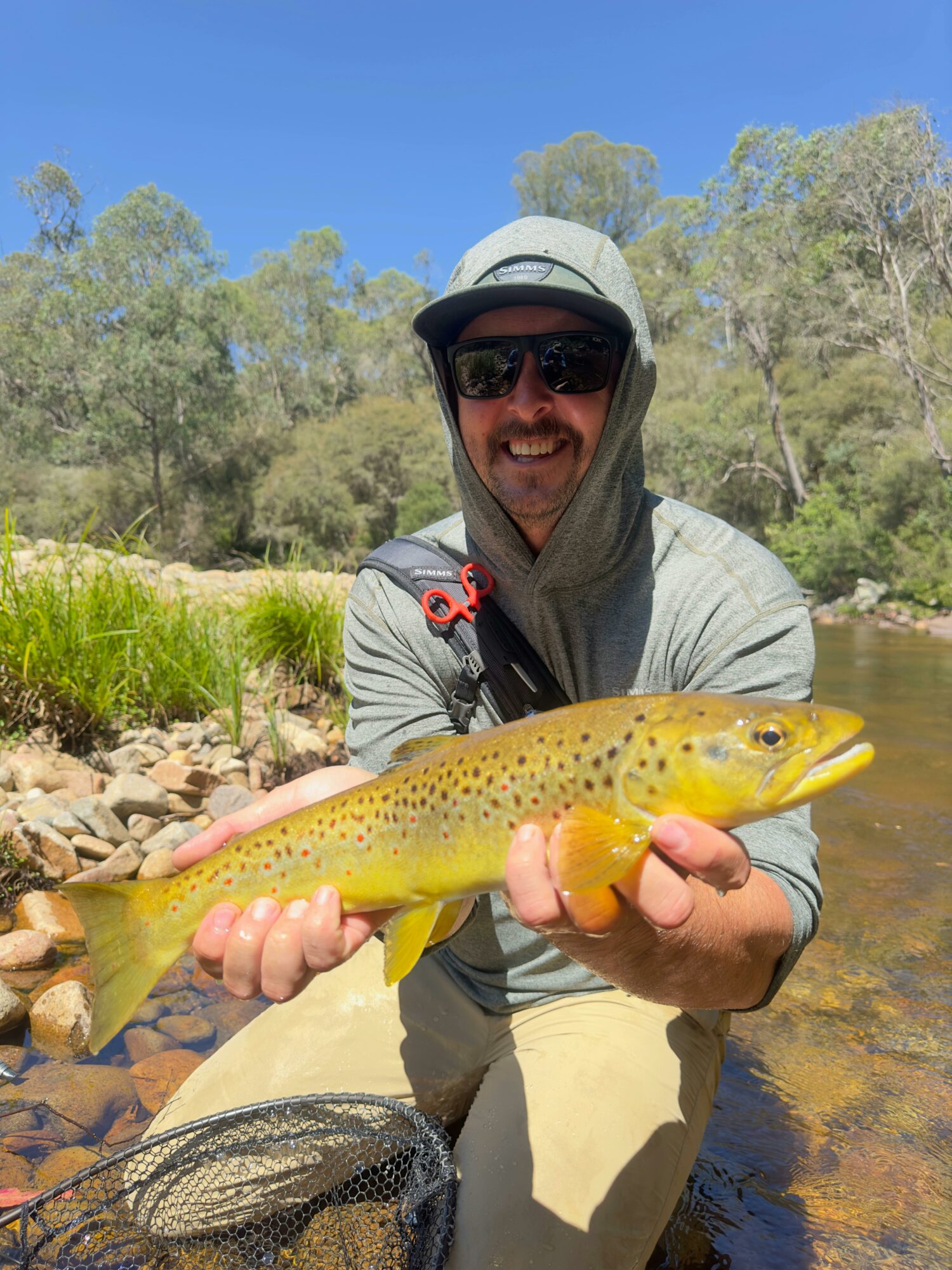 High Country Brown Trout