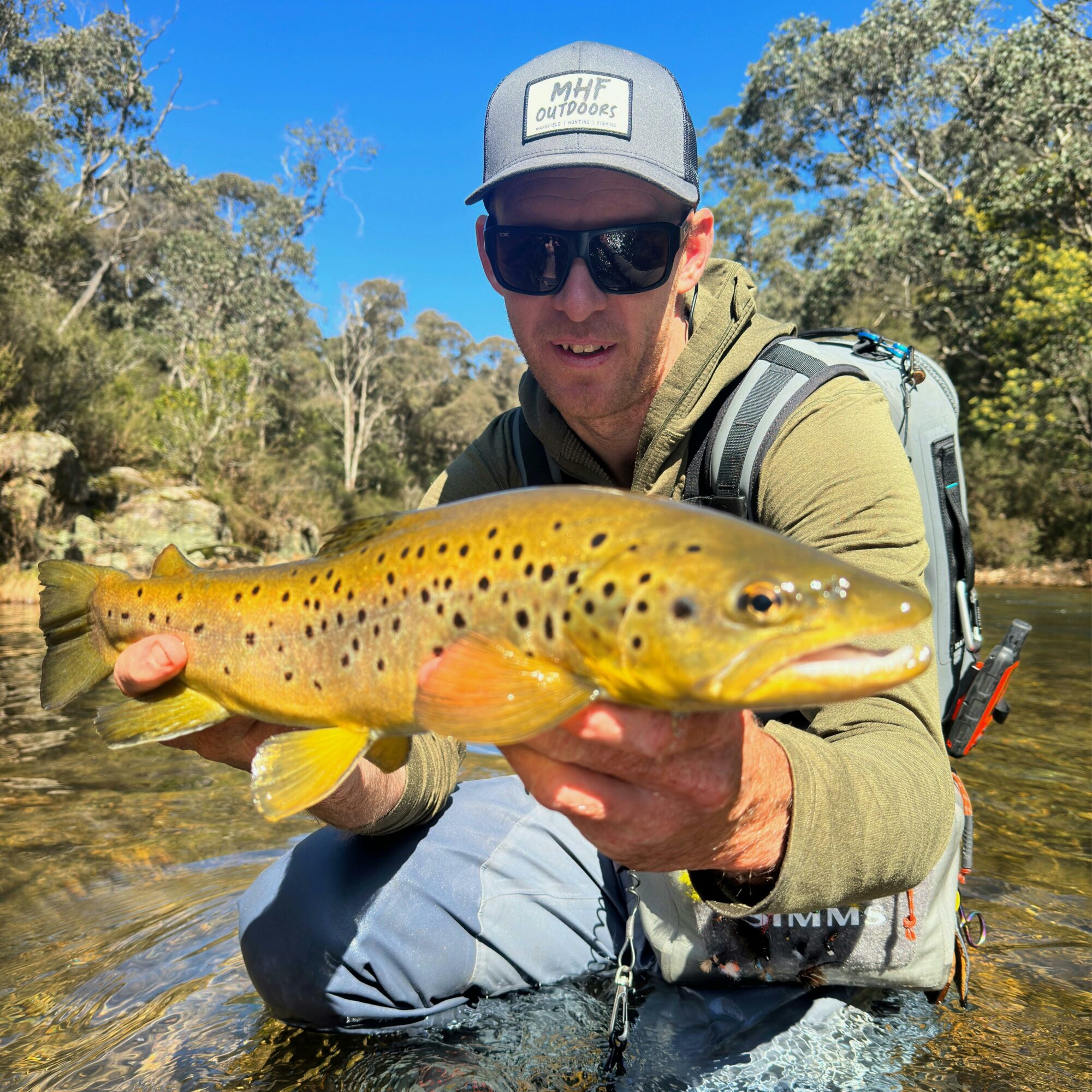 A High Country Brown Trout