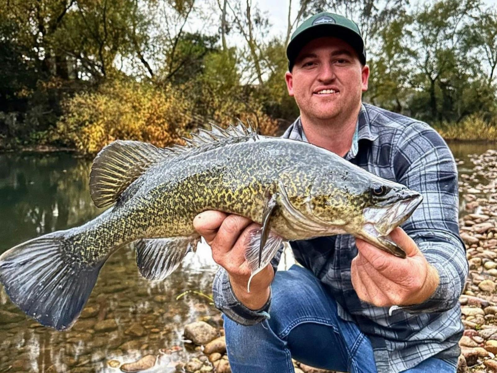 Murray Cod Fly Fishing